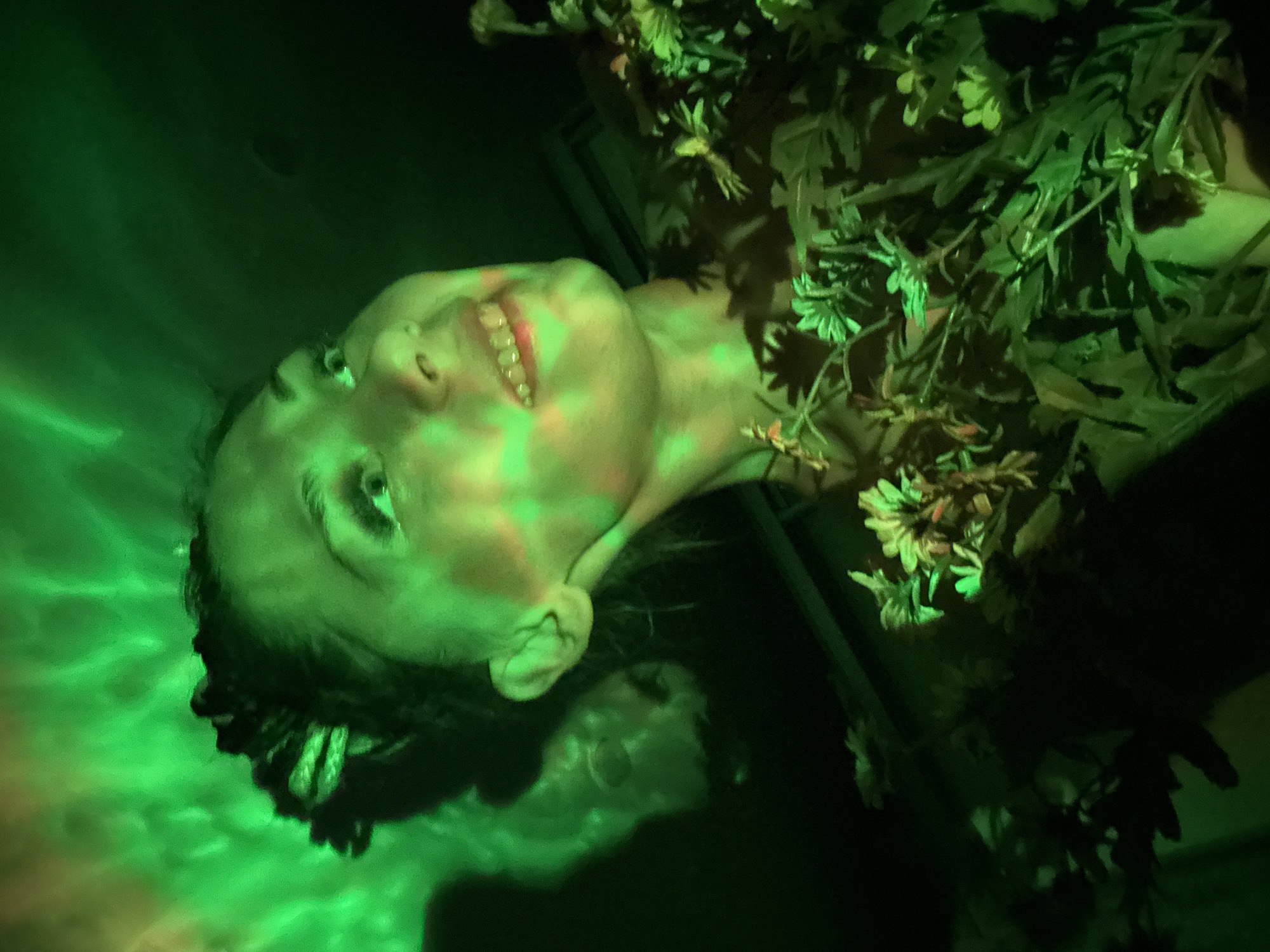 The image shows a person lying down in what appears to be a dimly lit area with green lighting. Their face is illuminated with an ethereal green light, casting intricate patterns across their skin. The person is adorned with flowers and foliage around their neck and upper body. The location is not discernible from the image. The focus is on the person's face, the floral arrangements, and the interplay of light and shadow.