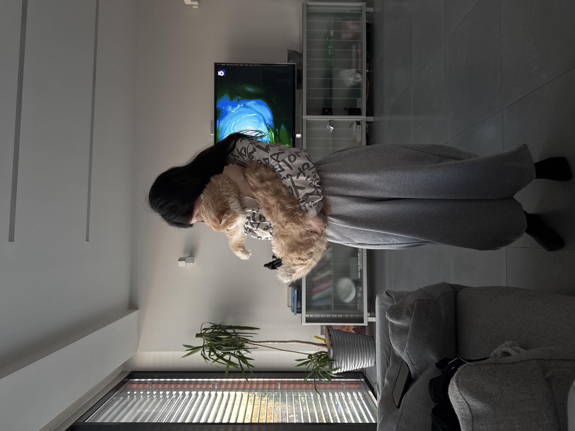 A woman with long, black hair is holding a fluffy, light orange cat. She is wearing a gray and white patterned top and gray pants. She is standing in a living room with a large television showing a blue and green image. To the right of the television is a white shelving unit. A tall potted plant is near the window, which has blinds. The floor appears to be tiled in gray. A gray couch is on the right.