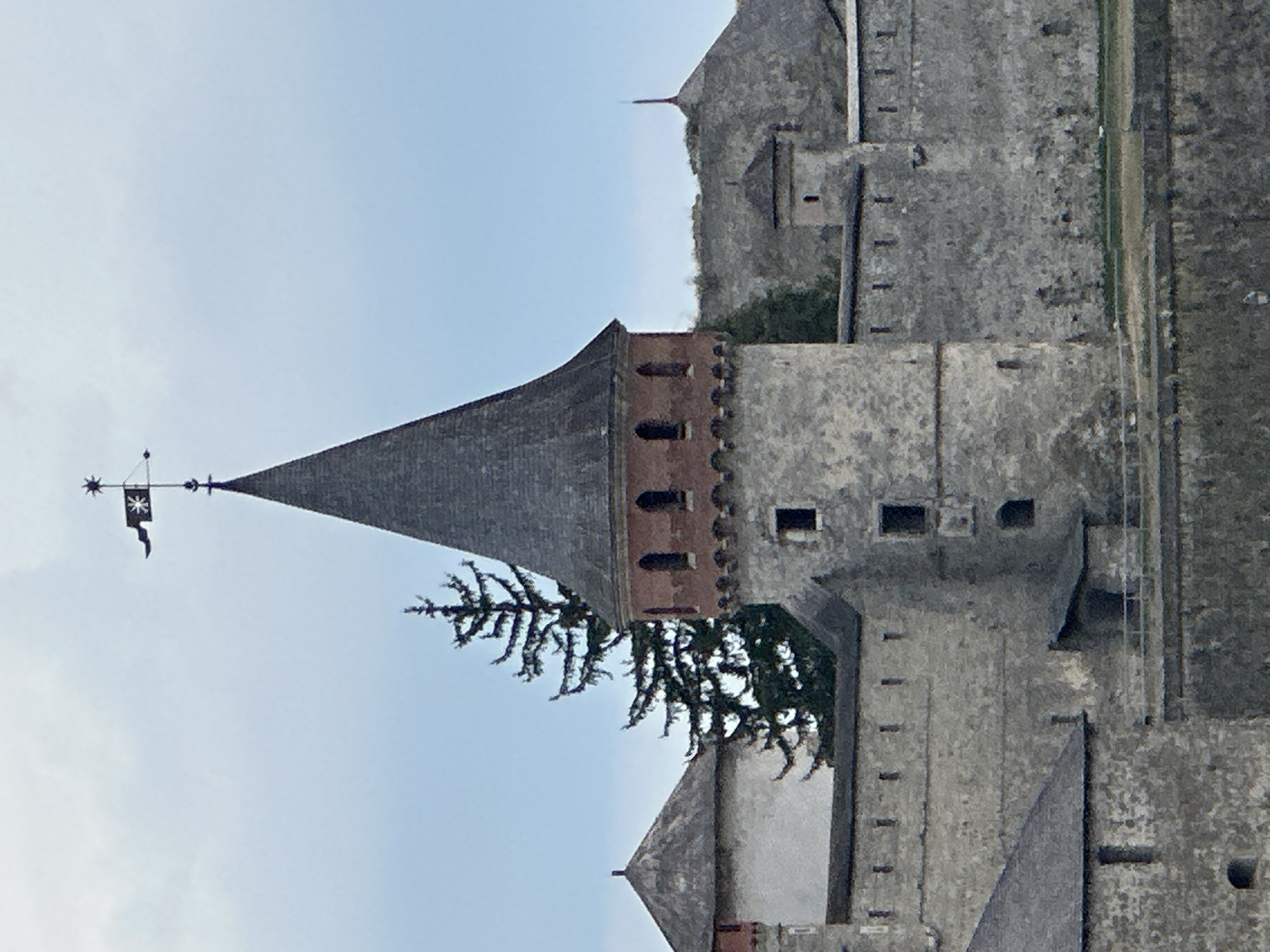 This is a photograph of the Kamianets-Podilskyi Castle in Kamianets-Podilskyi, Ukraine. The image focuses on the castle's central tower, which has a conical, grey tiled roof topped with a weather vane. The tower has a band of red brickwork with arched windows just below the roof. The lower part of the tower and the surrounding walls are constructed of grey stone. A tall, dark green fir tree stands behind the tower. The castle is set against a pale blue sky with some cloud cover. Various other structures of the castle complex, including smaller towers and crenellated walls, are visible in the background. The overall scene depicts a historic fortress under an overcast sky.