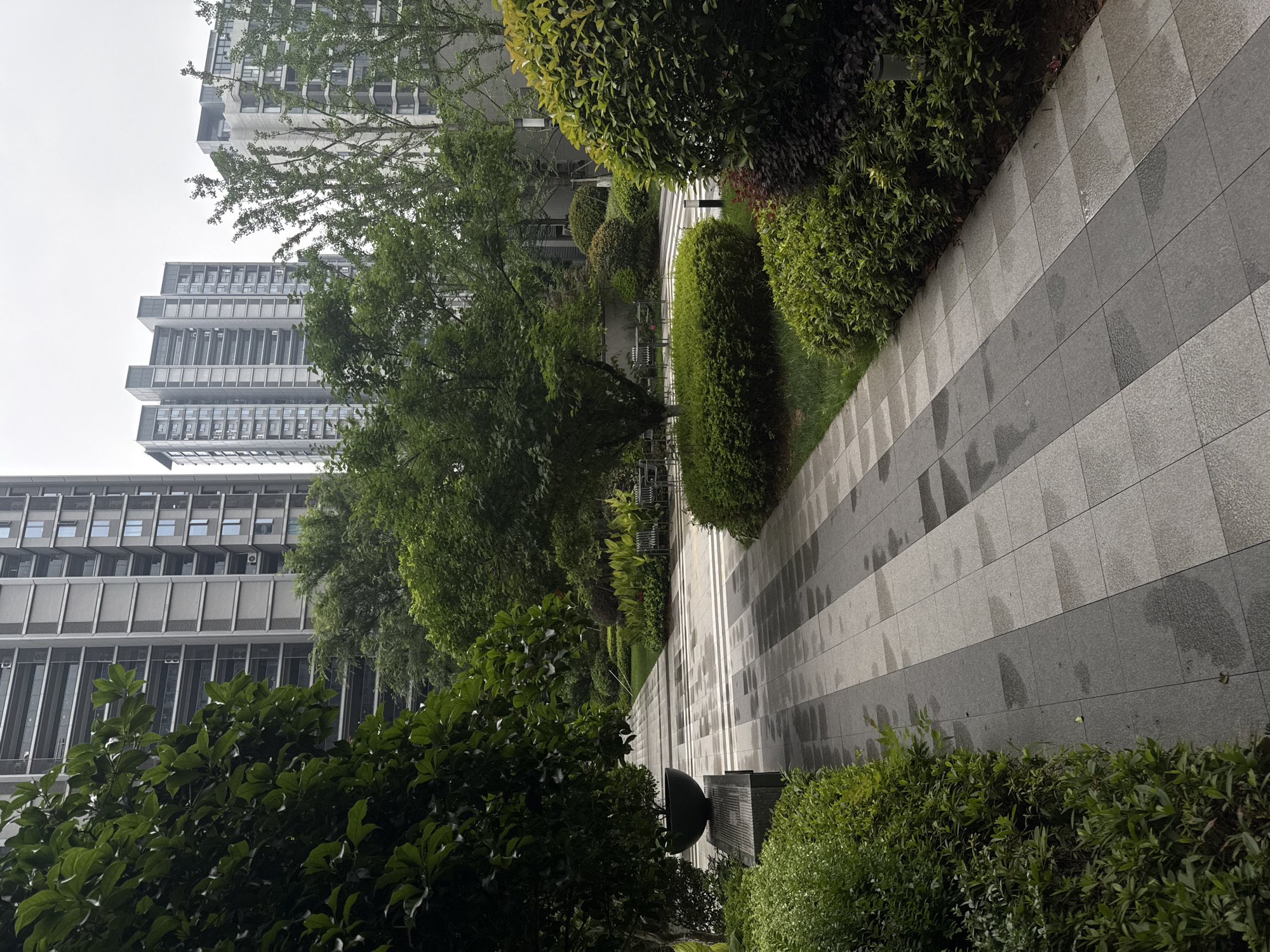 The image presents an outdoor urban landscape, likely a courtyard or pathway within a modern complex, featuring architectural elements and lush greenery under an overcast sky.
In the background, multiple tall, multi-story buildings with contemporary architecture are visible. Their facades are predominantly light gray, characterized by numerous square windows and some sections featuring horizontal louvers or recessed patterns. The sky above is uniformly light gray and overcast, suggesting a cloudy day or recent rain.
The mid-ground and foreground are dominated by a variety of green foliage, including tall trees with dense canopies and manicured bushes of different shapes and sizes. These plants create a verdant contrast against the buildings. A paved pathway traverses the scene, constructed from alternating light gray and dark gray rectangular tiles arranged in a striped pattern. The pathway and surrounding surfaces appear wet, indicating recent rainfall or high humidity. Patches of green grass are visible alongside the pathway and bushes.
No people or explicit activities are depicted, giving the scene a quiet and serene ambiance. On the right side of the path, a dark, bowl-shaped decorative object, possibly a planter or part of a water feature, is partially visible near a structured dark gray planter or bench. There is no visible text in the image. The overall impression is that of a well-maintained, modern outdoor space, typical of urban developments.