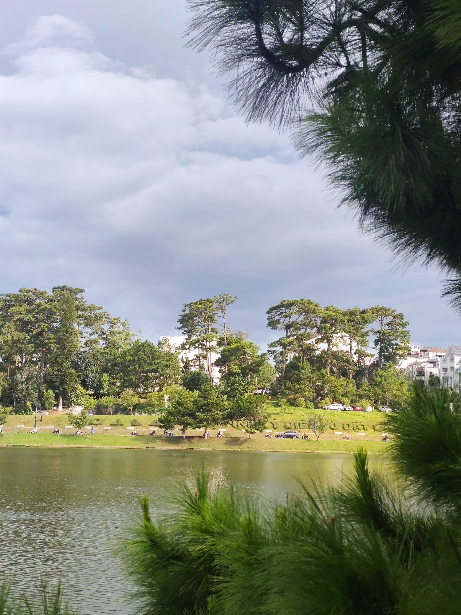 The image captures a serene lakeside scene in Da Lat, Vietnam, likely near Xuan Huong Lake. In the foreground, lush green pine branches frame the view, their needles sharp and detailed. Beyond the branches, a tranquil lake reflects the overcast sky, its surface rippling gently. The middle ground features a grassy embankment dotted with people engaged in various activities. Some individuals are seated, perhaps enjoying the view or picnicking, while others appear to be walking or riding bicycles. Several motorcycles are also visible parked or in motion along a road bordering the lake. The background is dominated by a dense forest of tall pine trees and other evergreens, interspersed with modern white buildings. The overall atmosphere is one of peaceful relaxation and natural beauty, characteristic of Da Lat's popular tourist spots.