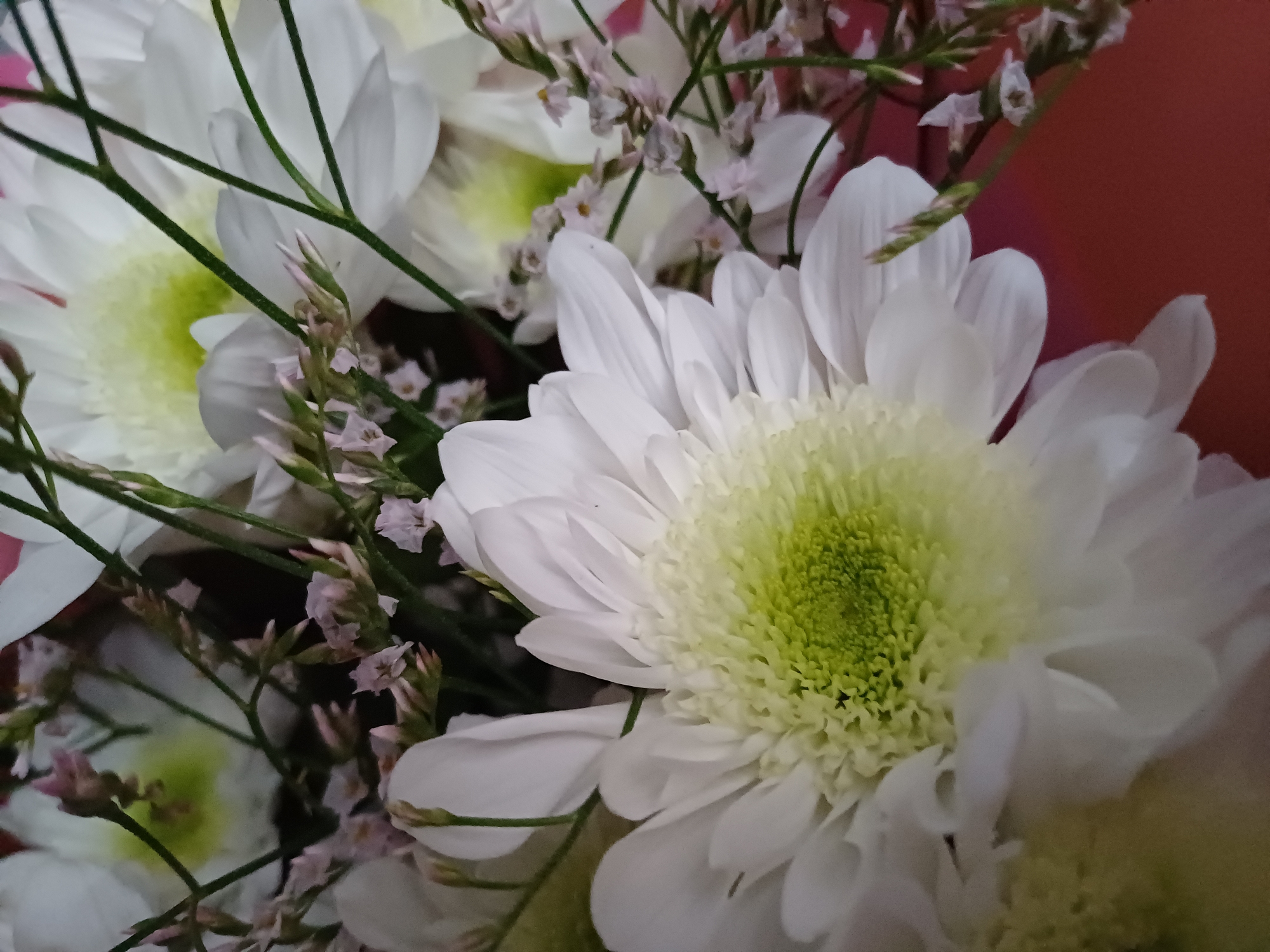 A close-up, slightly overhead shot shows a bouquet of white chrysanthemums and delicate pink flowers. The chrysanthemums have bright white petals fanning out from a lime-green center. Green stems crisscross the frame, and the pink flowers are small and clustered. The background is a reddish-brown surface. The image is sharp and well-lit.