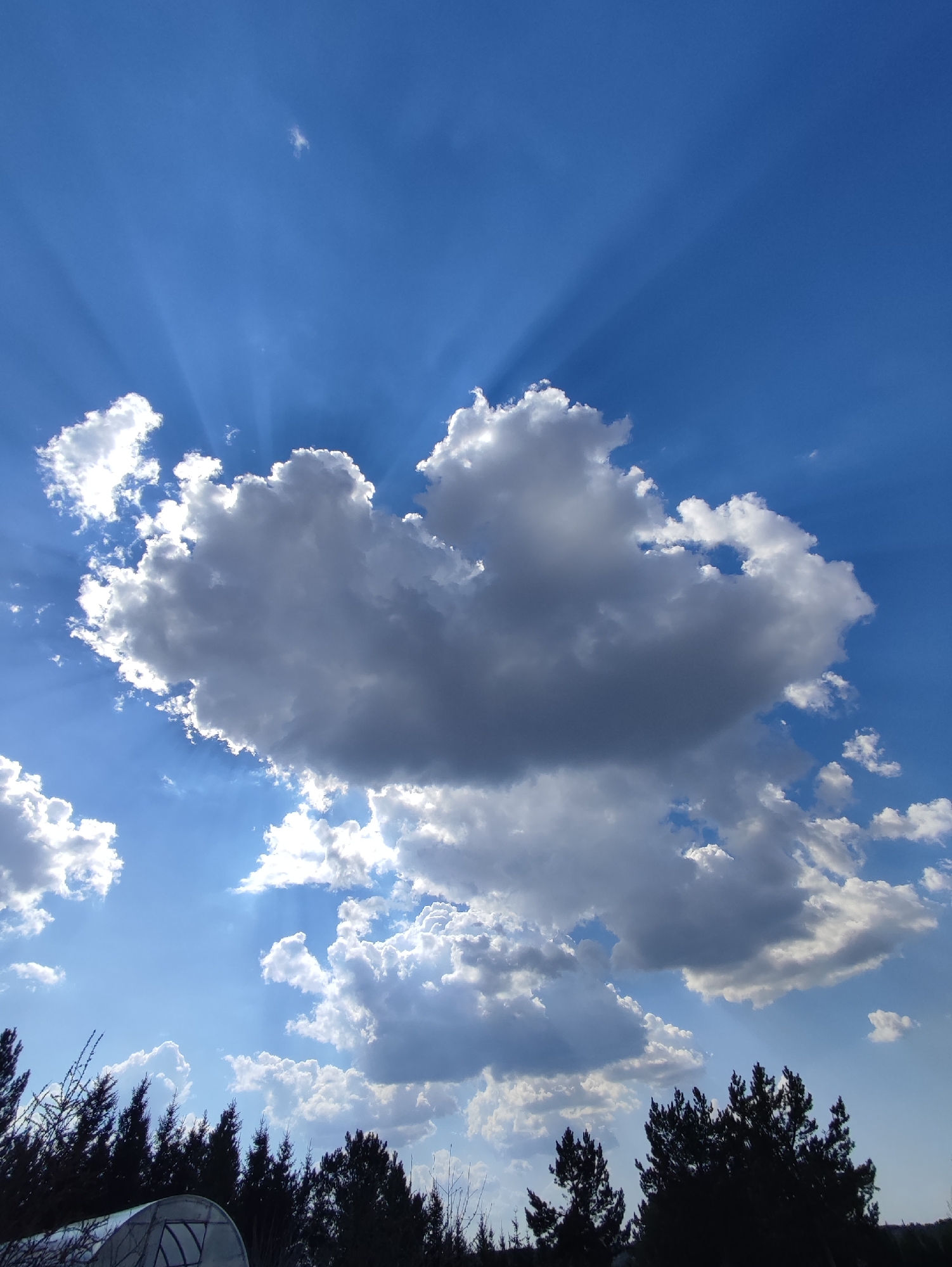 The image shows a daytime sky with scattered clouds and sunbeams. The sky is a bright blue, with a large, prominent cumulus cloud in the center of the frame, partially obscuring the sun. Sunbeams radiate outwards from behind the cloud. Smaller, scattered clouds are visible throughout the sky. In the foreground, there are silhouetted trees and vegetation, suggesting a natural or semi-rural environment. Also visible is what looks to be a small greenhouse covered in plastic sheeting. There is no indication that the location is Фоки, Russia.