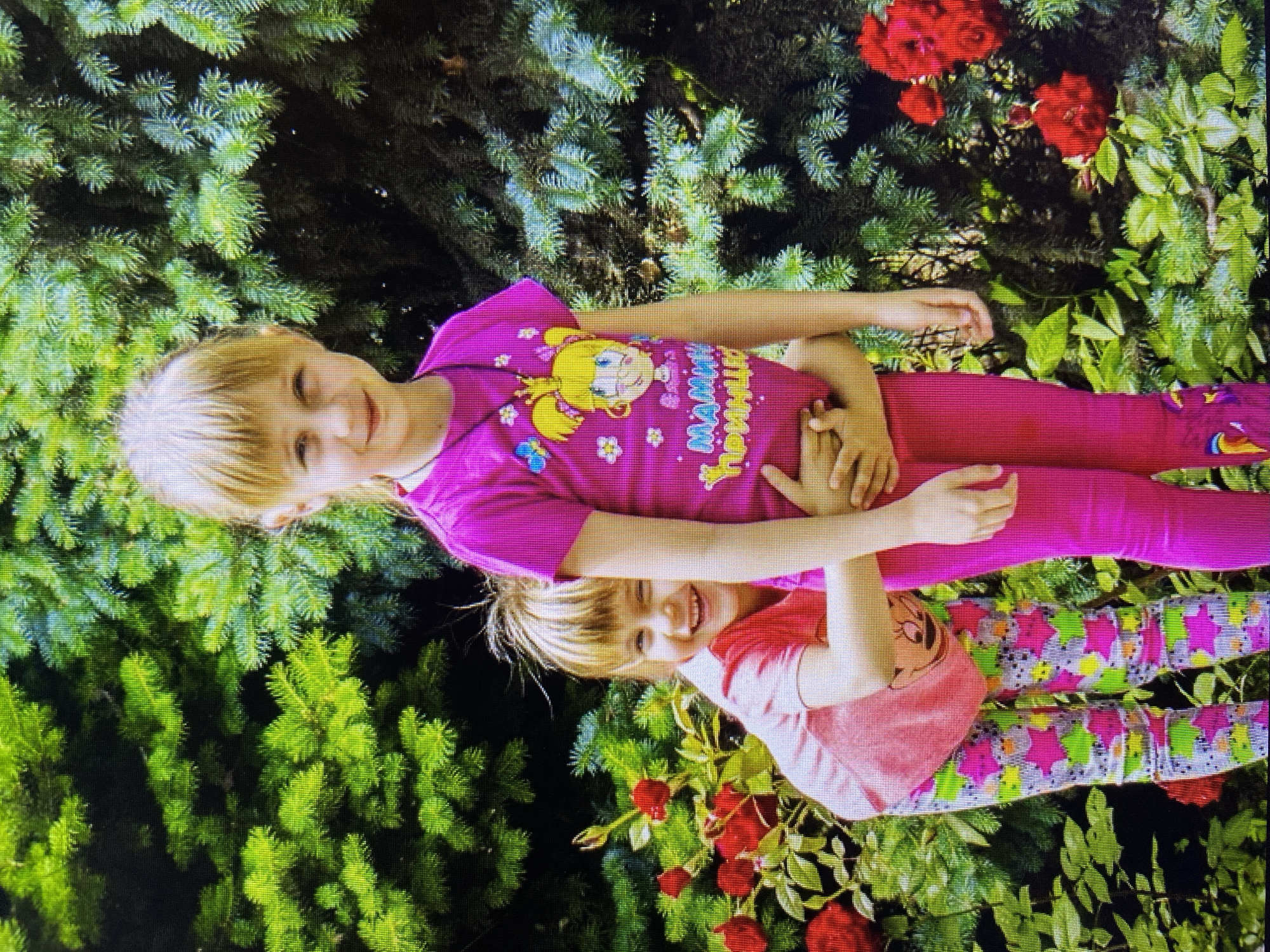 The image depicts two young girls posing in a garden setting, likely in Stavropol, Russia, given the mention of the city. The elder girl, on the right, stands facing forward, wearing a bright pink t-shirt with a cartoon character and text. Her arms are around the younger girl. The younger girl, on the left, is partially behind the elder girl, facing the camera with a wide smile and her head tilted. She is wearing a pink t-shirt and patterned leggings. Behind them, a large evergreen tree provides a backdrop, with vibrant red roses and green foliage in the foreground. The lighting suggests an outdoor, daytime scene.