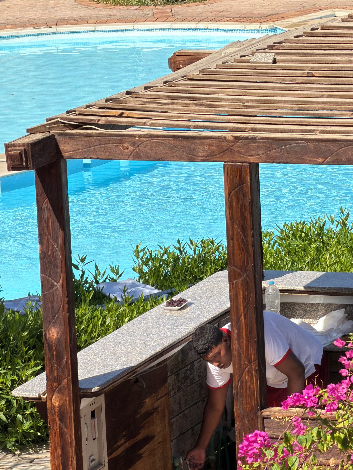 The image shows a man in a white t-shirt with red trim and red shorts leaning down to tend to something beneath a wooden pergola by a swimming pool. He is in the city of Sharm El Sheikh, Egypt. The pergola has a weathered wooden roof and posts, with the bright blue water of the swimming pool visible behind it. Green foliage grows around the pool area, and bright pink flowers are in the foreground. A small plate with dark food items is on a counter to the left of the man, and a plastic water bottle is on the counter behind him. The pool area appears to be outdoors, possibly at a resort or hotel.