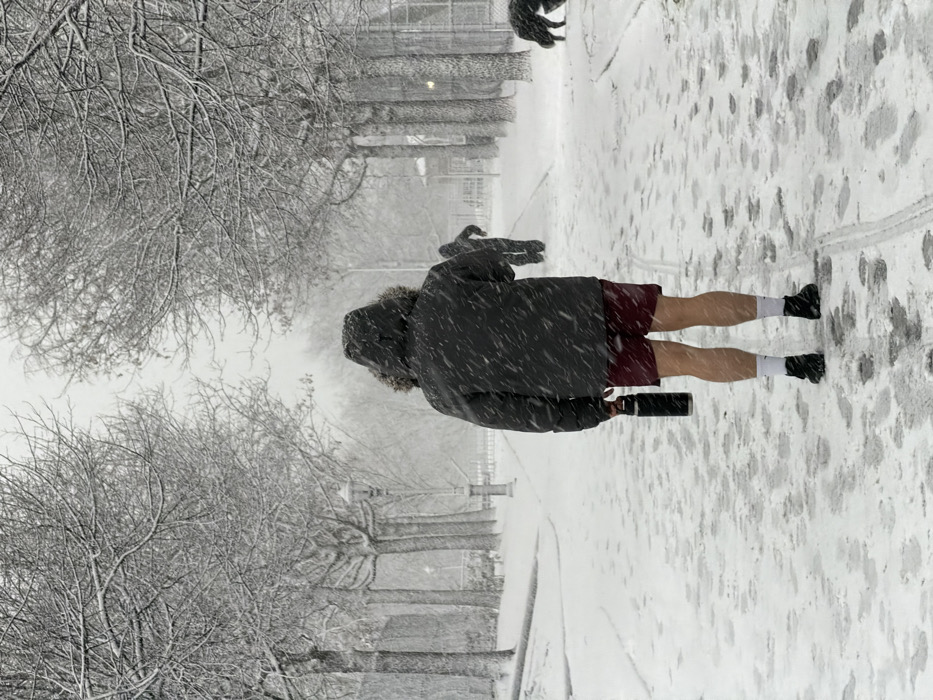 A person wearing shorts, socks, and shoes walks in the snow, wearing a winter jacket. The sidewalk and surrounding area are covered in snow. Trees line the sidewalk. Snow is falling heavily. The person is holding a black object, possibly a camera or phone. Two dogs are visible further up the path.