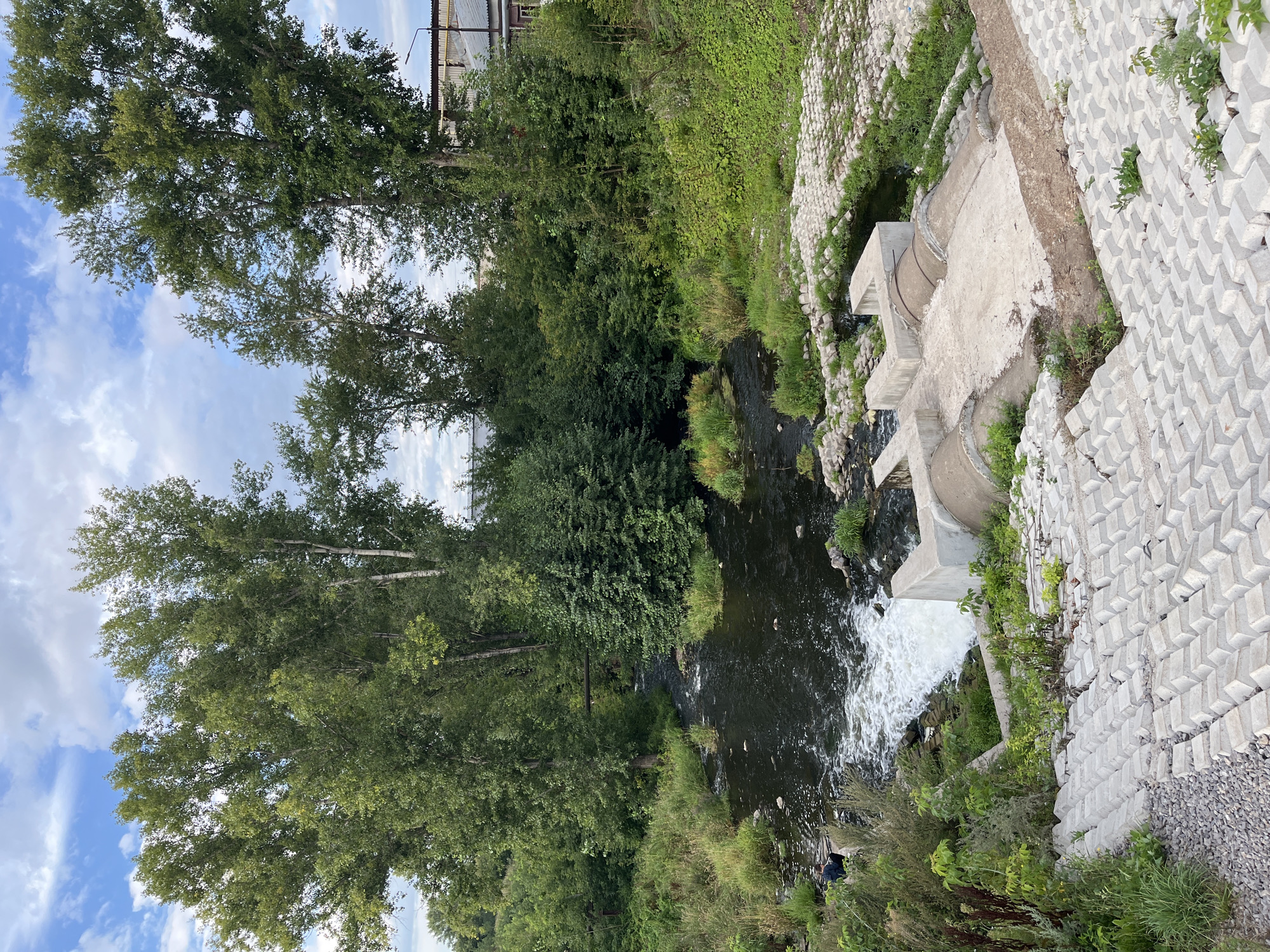 An exterior, high-angle, full shot captures a naturalistic scene with man-made structures along a flowing body of water, likely a canal or small river, within the city of Blagoveshchensk, Russia. A person, seen from behind, sits on the left bank of the water, appearing to be fishing or resting. The water flows from left to right, creating white rapids as it descends over a small man-made cascade.
In the foreground, a constructed concrete embankment with interlocking gray blocks slopes downwards towards the water. The embankment is partially overgrown with green vegetation. Further up the slope, there is a concrete structure with two large, curved pipes that appear to be part of a drainage or water management system. These pipes are situated on a flat concrete platform, which is also surrounded by the interlocking gray blocks.
The water itself is dark and appears somewhat murky, with scattered rocks and debris visible along its edges. The banks of the water are lined with lush green vegetation, including tall grasses and dense bushes.
Dominating the background are numerous tall, leafy green trees, some with thinner, lighter-colored trunks, suggesting a mix of deciduous species. Interspersed between the trees and rising above them on the far right are industrial-style buildings with corrugated metal roofing and concrete structures. A single lamppost is visible near the buildings. The sky above is partly cloudy with patches of blue. The overall impression is a blend of urban infrastructure encroaching on a natural waterway.