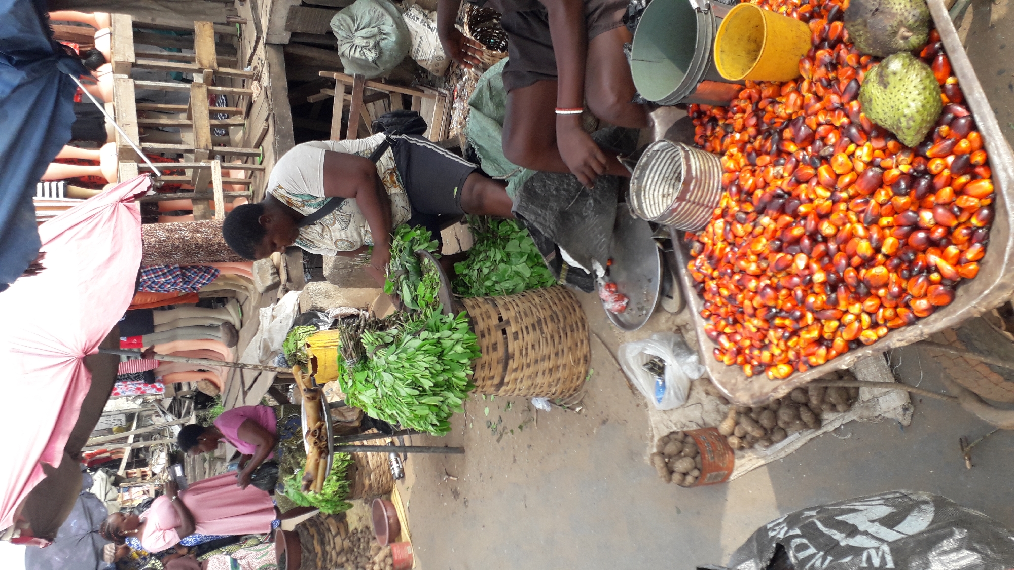 This image captures a vibrant scene at an outdoor market in Onitsha, Nigeria. The primary subjects are several women engaged in selling and arranging produce. In the foreground, a woman in a pink dress is seen with a basket of leafy green vegetables. To her right, another woman, wearing a white and patterned shirt, is attending to a large pile of bright orange palm fruits in a metal basin. The palm fruits are the most visually striking object in the scene, filling a significant portion of the frame.
Behind the palm fruits, a bucket and a yellow container are visible. The market setting is evident from the wooden structures and stacked items that appear to be goods for sale or storage. A large pink umbrella provides shade for some of the stalls. The ground is dusty, typical of an outdoor market environment. The atmosphere appears busy and industrious, with the women focused on their tasks. The time of day is likely daytime, given the lighting conditions. There are no obvious indicators of weather, but the scene suggests it is warm.
The image also shows some bundles of vegetables, woven baskets, and a few fruits that resemble soursop, adding to the variety of goods on display. The presence of clothing items, possibly mannequins or folded garments, suggests that clothing might also be sold at this market. The overall impression is of a bustling local marketplace where daily commerce is taking place.