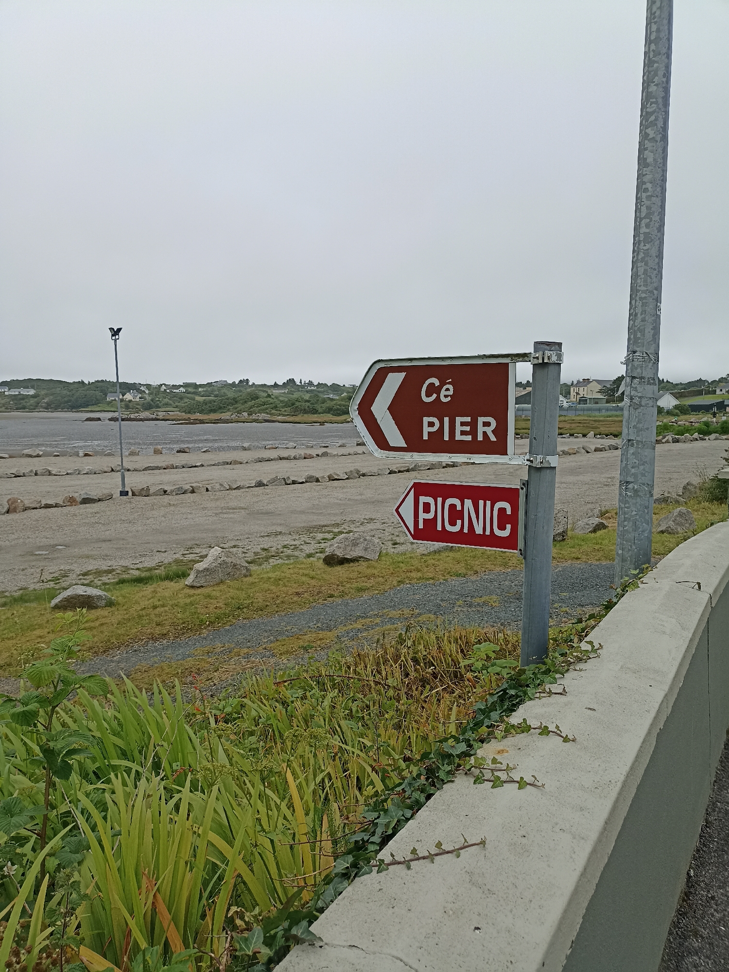 The image captures a directional signpost in Annagry West, Ireland, set against a backdrop of a cloudy sky and a coastal landscape. The signpost, made of metal and mounted on a pole, displays two signs. The upper sign, in a dark brown color with white lettering, points left and reads "Cé PIER". The lower sign, in red with white lettering, also points left and reads "PICNIC".
In the background, a body of water, likely the sea, is visible, with a shoreline that appears to be a beach or a tidal area. Beyond the water, a gently sloping green hill is dotted with houses, suggesting a small coastal community. A street lamp with an angular, bird-like fixture stands to the left of the signs, closer to the foreground. The ground in front of the signs is a gravelly area, possibly a parking lot, with rows of stones delineating sections. Lush green vegetation, including tall grass and ivy, grows along the edge of a concrete wall in the foreground, partially obscuring the lower portion of the scene. The overall atmosphere is overcast and somewhat muted, typical of Irish coastal weather. There are no people or animals visible in the frame.
