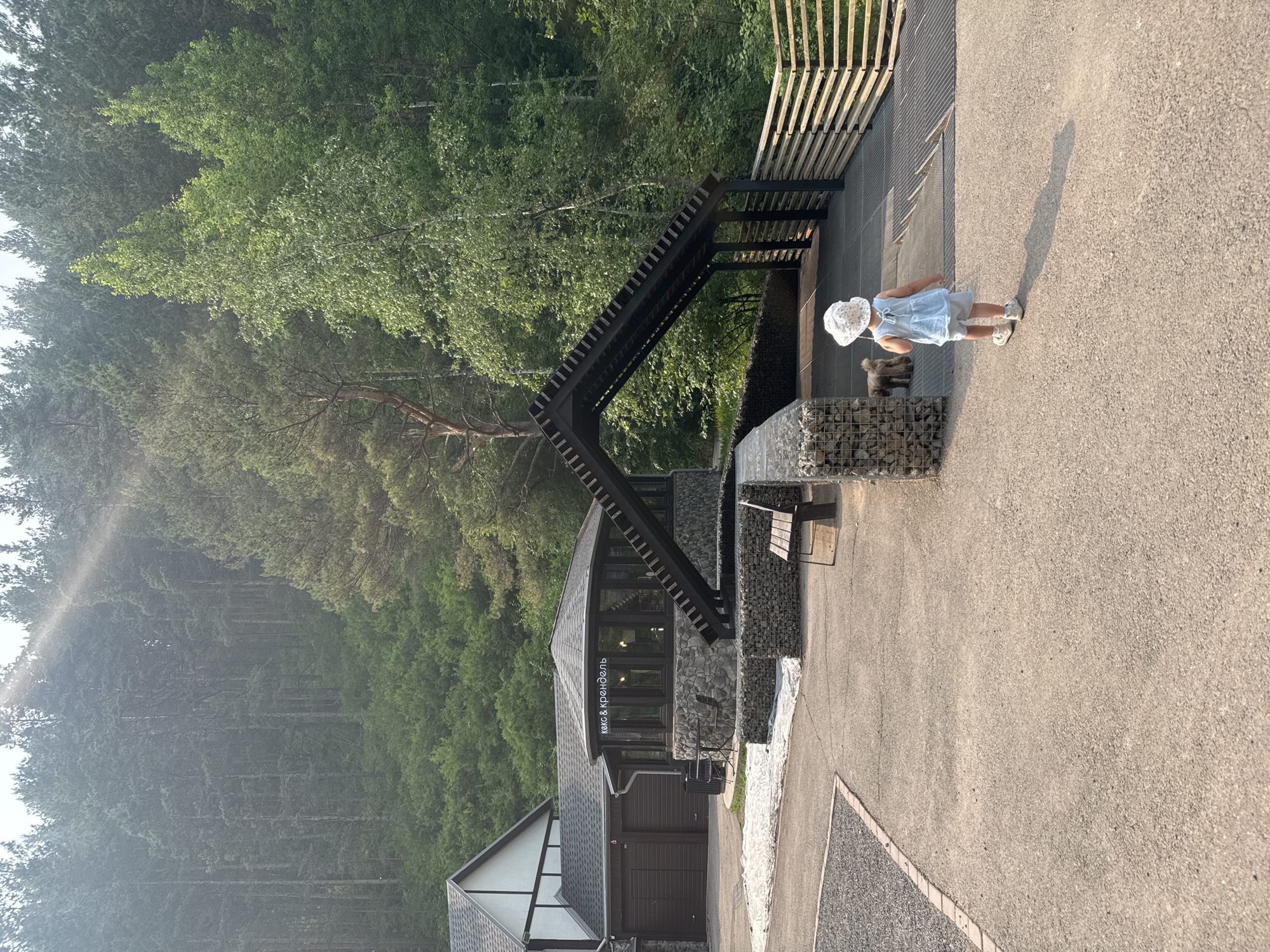 The image shows a paved walkway in front of a building with a hexagonal, stone-clad structure featuring large windows and an illuminated sign that reads "КЕКС & КРЕНДЕЛЬ". The building is adjacent to a larger structure with a dark roof and brown garage doors. To the right of the hexagonal building is a dark, angular, covered walkway or canopy. A young child wearing a light blue dress and a white hat is walking away from the camera towards the covered walkway, accompanied by a small, curly-haired dog. The walkway leads to a wooden fence. In the background, a dense forest of pine and deciduous trees covers a hillside. The lighting suggests it is daytime, with a sunbeam visible through the trees. The scene appears to be an outdoor area, possibly a park or a cafe, located in the city of Krasnoyarsk, Russia.