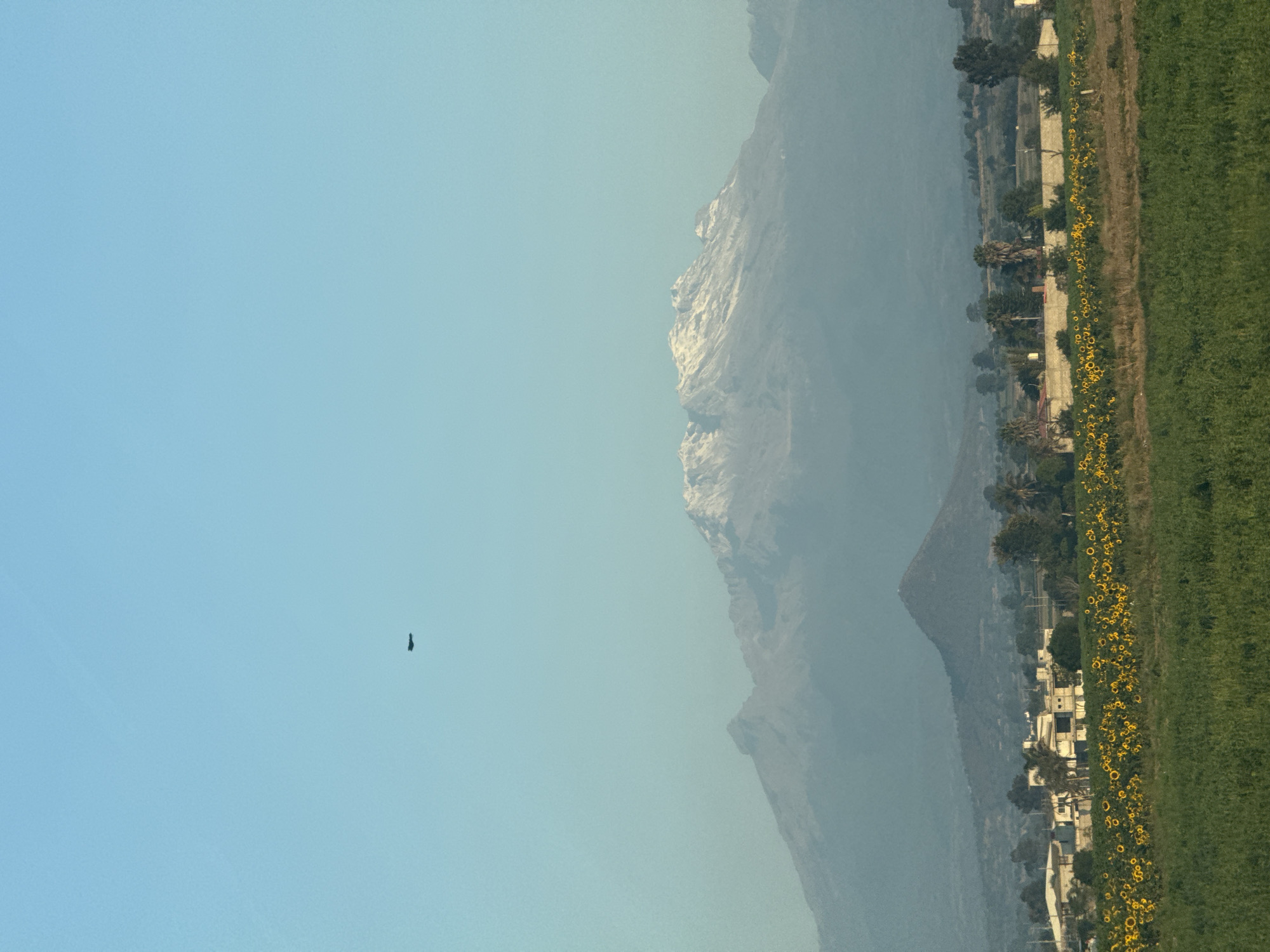The image shows a daytime view in Santa María Acuexcomac, Mexico. The sky is a gradient of light blue, with a dark shape, possibly a bird or aircraft, silhouetted against it. A mountain range is visible, with snowy peaks. Along the base of the mountain lies a line of buildings, trees, and a field of sunflowers. A green field stretches on the other side.