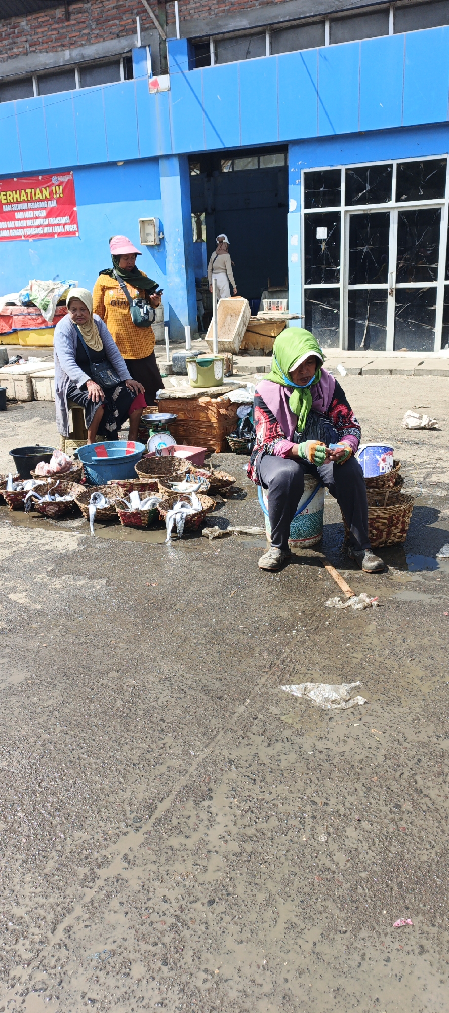 In the city of Puger, Indonesia, an outdoor fish market is depicted under a bright sky, with a blue building serving as a backdrop. Three women are the primary subjects, engaged in their market activities. The woman on the far left, wearing a grey cardigan and a yellow headscarf, is seated, looking down. Beside her, a woman in a yellow shirt and pink hat stands holding a mobile phone, also looking down. To the right, another woman, dressed in a green headscarf and a vibrantly patterned top, sits on a bucket, holding what appears to be money in her hands. Surrounding the women are numerous woven baskets overflowing with fresh fish, along with a blue basin and a scale. The ground is wet and muddy, suggesting recent rain or water from fish preparation. In the background, more stalls and a large open doorway leading into the blue building are visible. A red and white banner is affixed to the building's facade, bearing Indonesian text. The overall scene portrays the daily operations of a bustling local market.
