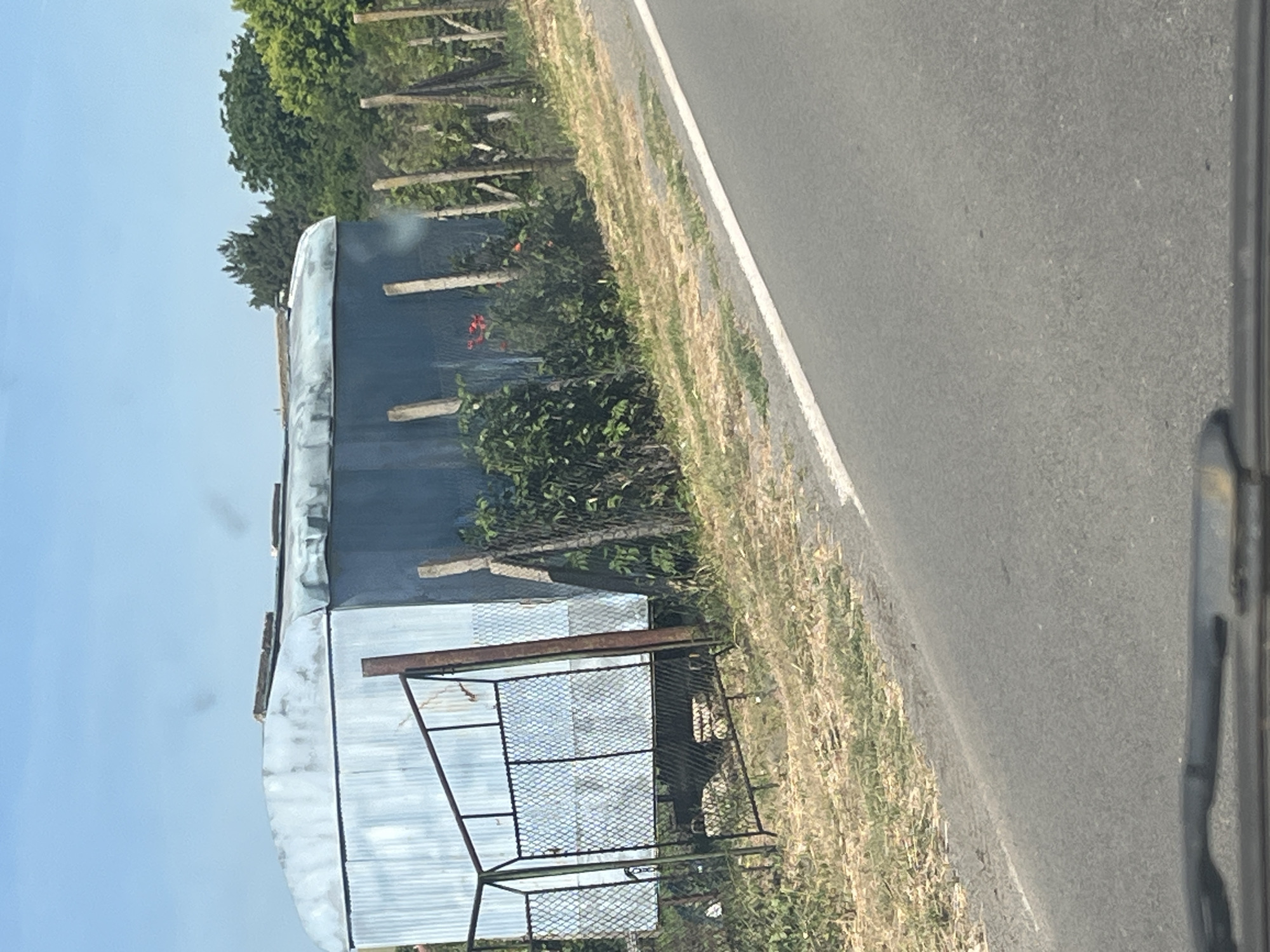 An exterior, eye-level, medium shot shows a light blue, corrugated metal structure that appears to be a mobile home or shed, situated alongside a two-lane asphalt road. The structure has a rounded roof and is supported by visible wooden posts. To the left of the structure is a black metal gate with chain-link fencing. A stand of trees and vegetation borders the right side of the scene. The sky is clear and blue. The image was captured in Ravnets, Bulgaria.