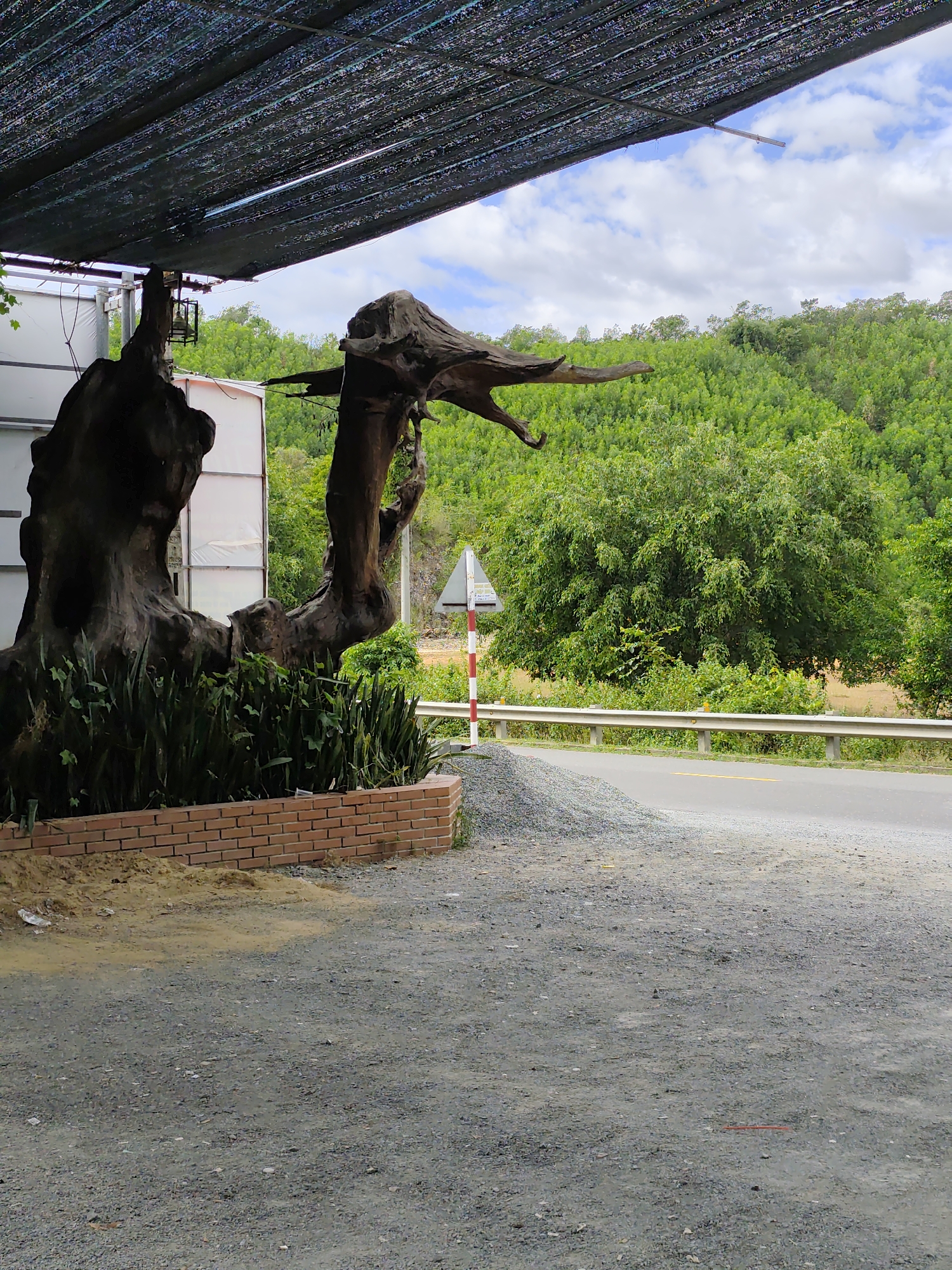 A static, eye-level, full shot captures an outdoor scene with a large, dark, gnarled tree sculpture dominating the foreground. The sculpture is positioned to the left of the frame, with its twisting branches reaching upwards and outwards. It is partially obscured by lush green foliage and a low, red brick wall that encircles its base. Behind the sculpture, a white structure with visible supports is present.
To the right of the sculpture, a grey asphalt road with a yellow line marking the center runs diagonally from the mid-right of the frame towards the background. A silver metal guardrail separates the road from a dense, verdant hillside covered in trees. A striped red and white pole, likely a road marker, stands near the guardrail. The sky above is a mix of blue and white clouds. The ground in the foreground and to the right of the road is covered with loose gravel and dirt. The scene appears to be situated in a rural or semi-rural environment, possibly on the outskirts of a city. The lighting suggests it is daytime. No people are visible in the frame.