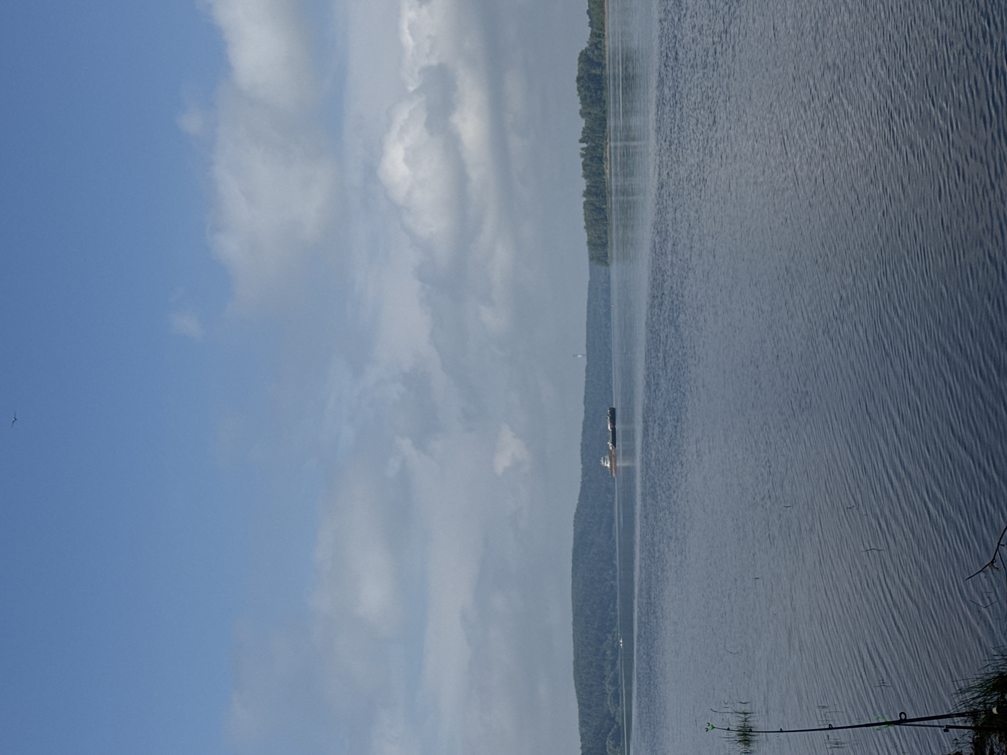 The image depicts a wide, calm river under a bright blue sky with scattered white clouds. In the distance, a large barge is visible moving across the water. The riverbanks are lined with dense green forests, and a small island with trees is also present. In the foreground, on the left side of the image, two fishing rods are planted in the ground near the water's edge, suggesting a leisurely fishing activity. The scene appears to be set in a natural, somewhat remote location, possibly on the outskirts of Прикамский, Russia, given the river and forest landscape. The overall atmosphere is peaceful and serene.