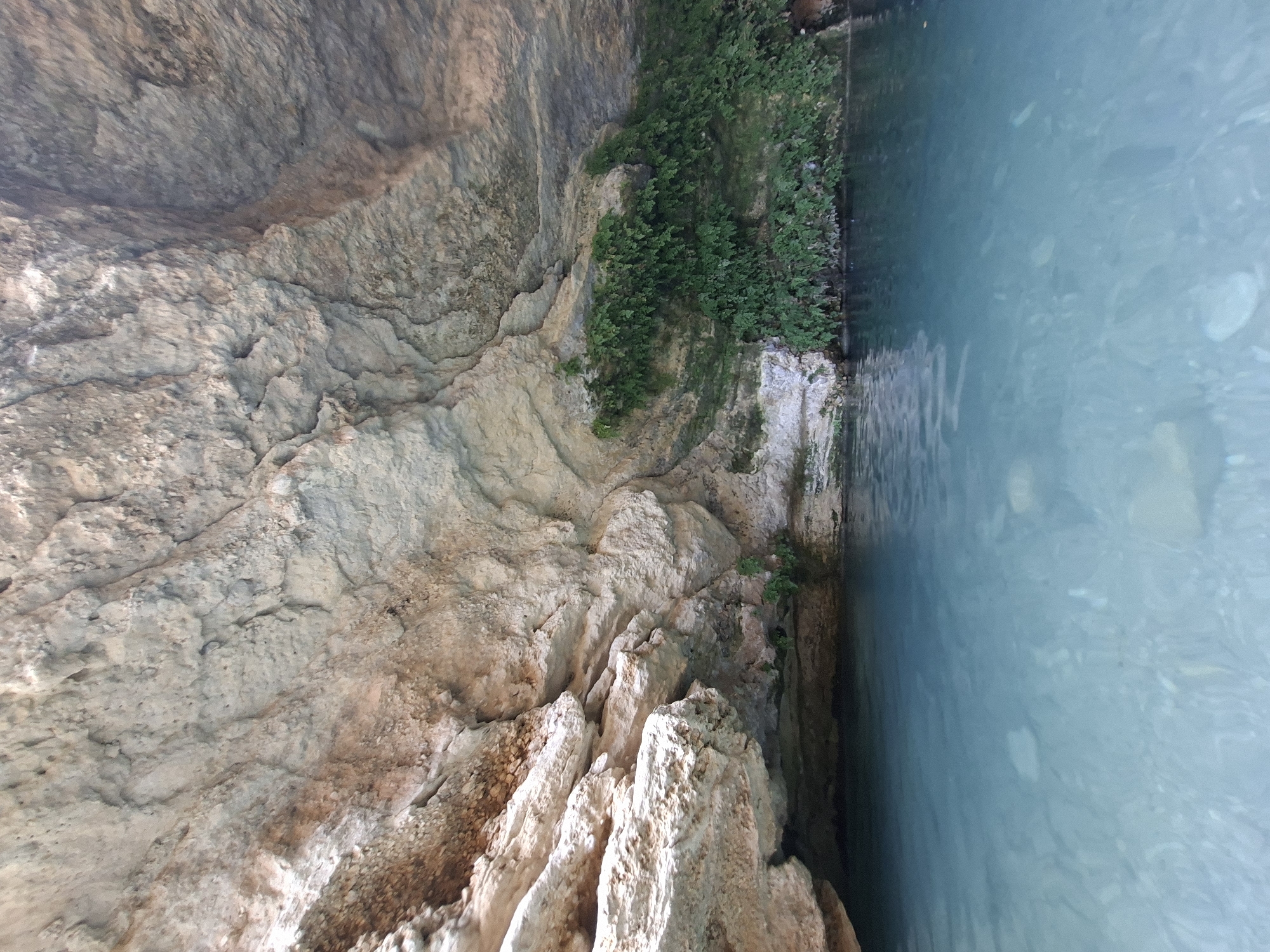 A low-angle, medium shot captures the interior of a rock overhang with a pool of clear, turquoise water in the foreground. The rock ceiling is textured with rough, layered formations in shades of beige, tan, and gray, with some areas showing hints of reddish-brown. Lush green ferns and other vegetation grow in clusters along the rock face just above the waterline, adding a vibrant contrast to the stone. The water is shallow enough to see the rocky bottom and pebbles beneath the surface. The scene is devoid of any people or animals. The location is specified as Unknown, Spain.