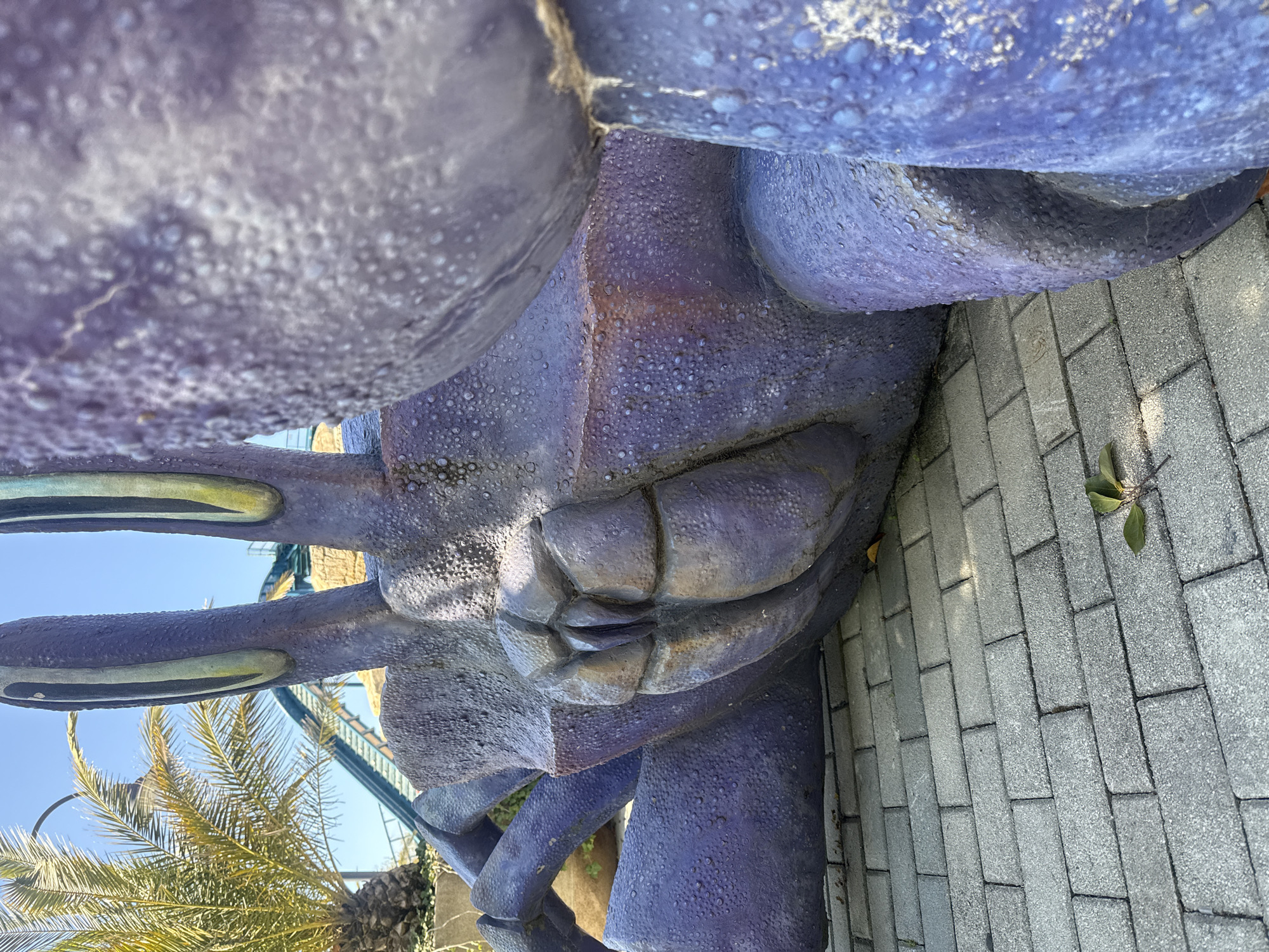 The image displays a close-up, low-angle perspective of a large, stylized sculpture, predominantly purple in color. The sculpture features a rough, textured surface with numerous small bumps, resembling the carapace and limbs of a marine creature, possibly a crab or lobster, given the visible claw-like structures. One large pincer, partially highlighted with yellow on its inner side, extends towards the left. The sculpture shows signs of wear, with some areas appearing faded or discolored.
The setting is outdoors, under a clear blue sky, indicating bright daylight. In the background, to the lower left, a vibrant green palm tree adds a tropical element to the scene. Further in the background, a blue metal structure, characteristic of a roller coaster or similar amusement park ride, is visible against the sky. The base of the sculpture rests on a paved area composed of light grey rectangular pavers, part of which is visible on the right side of the frame. A few scattered green leaves can be seen on the paved ground. There are no people or visible text in the image. The overall scene suggests an amusement park, resort, or public recreational area, fitting the location context of Sochi, Russia.