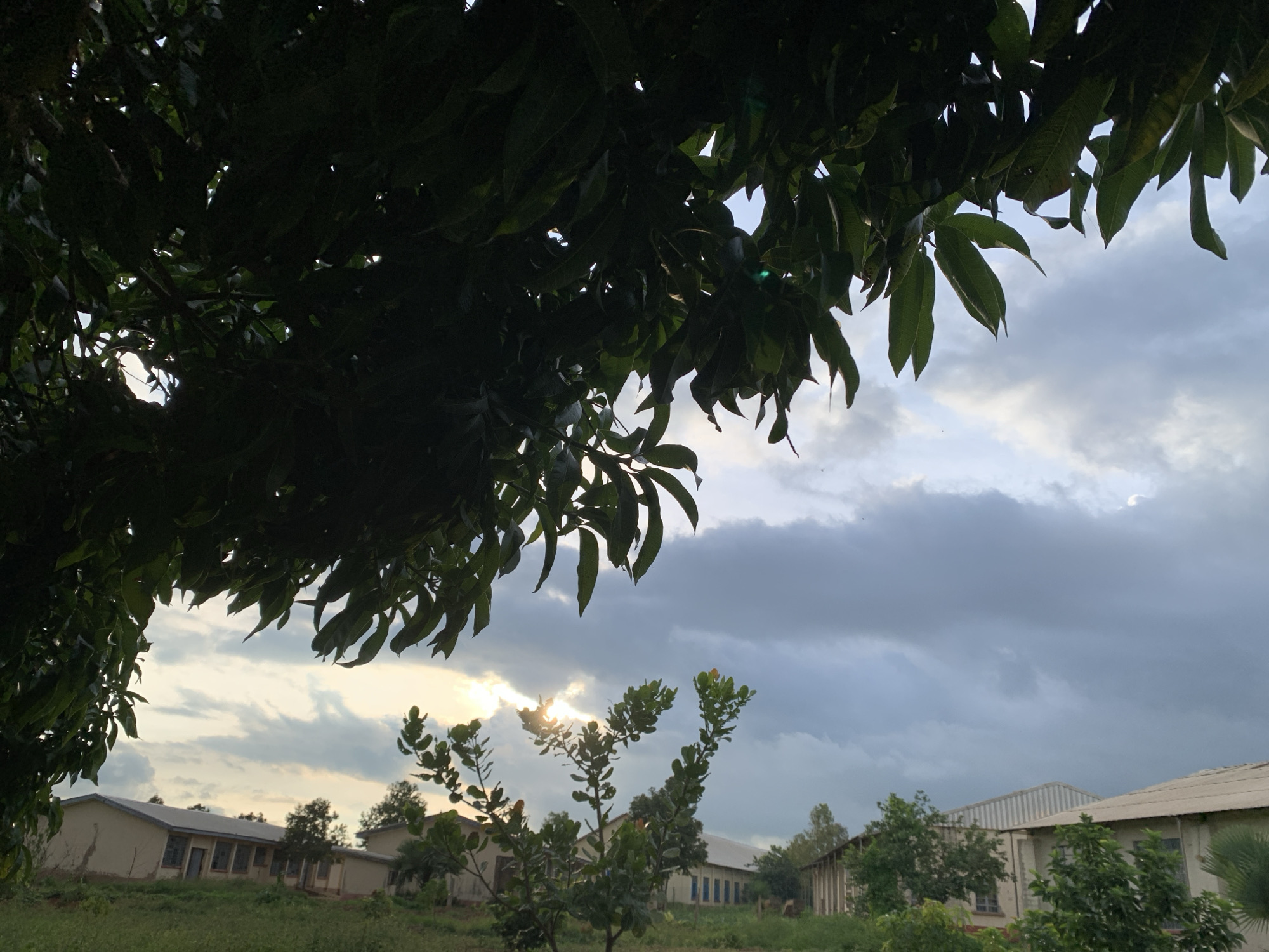 The image depicts a view from under the canopy of a dense, dark green leafy tree, with its branches and foliage dominating the upper left portion of the frame and extending into the foreground. Through the gaps in the leaves, a cloudy sky is visible, with streaks of sunlight breaking through in the upper central and right areas. In the middle ground and background, several low-rise buildings are situated on a gentle slope covered in green grass. The buildings appear to be of a light, neutral color, with windows and doorways visible. Trees and vegetation are interspersed around the buildings and on the slope. The overall scene suggests an outdoor setting, possibly a school or institutional campus, in Kuru Karama, Nigeria. There are no people visible in the image.