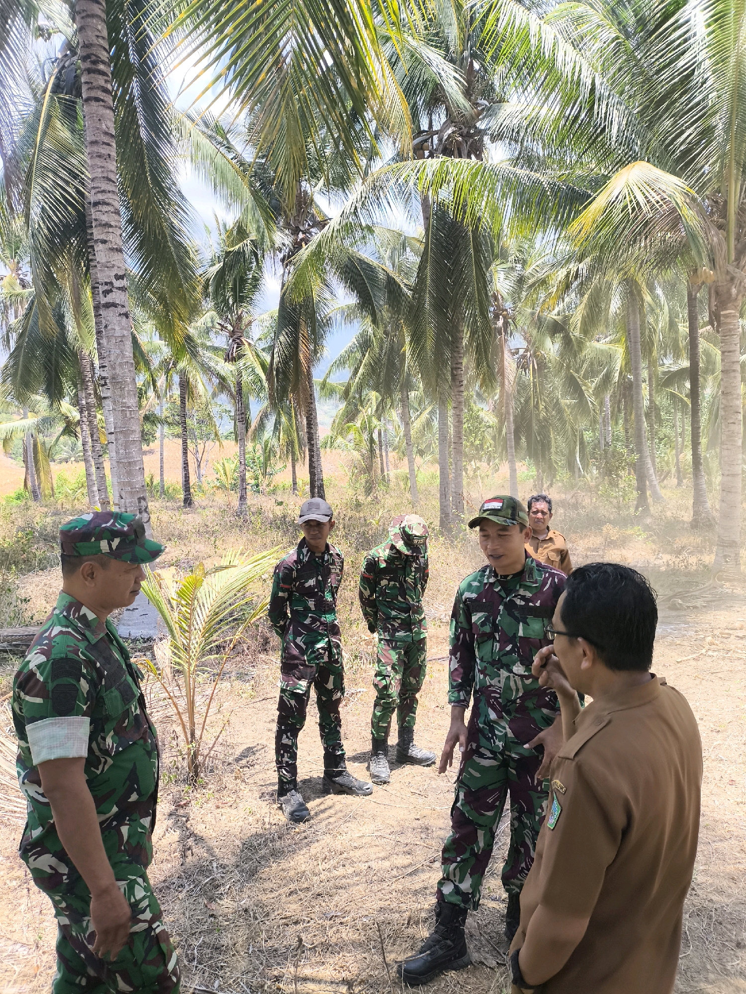 In Modelomo, Indonesia, five individuals are gathered in a dry, outdoor environment characterized by numerous palm trees and sparse, dry vegetation. The ground is covered in light brown soil and dry grass. The sky above is bright, suggesting a sunny day.
Four of the individuals are wearing camouflage military uniforms, with the characteristic green, brown, and black patterns. They are all wearing hats, with some hats bearing insignia. One of these individuals is in the foreground on the left, facing away from the camera, with a white band on their left sleeve. Another is in the center, facing the camera, and appears to be speaking. Two more are further back in the background, also in uniform.
The fifth individual is wearing a light brown, short-sleeved shirt, which appears to be a uniform or work attire. This person is in the right foreground, facing towards the group of soldiers and engaged in conversation.
The overall scene suggests a meeting or discussion taking place outdoors in a rural, tropical setting. The presence of military personnel and civilian attire indicates a possible official gathering or activity.