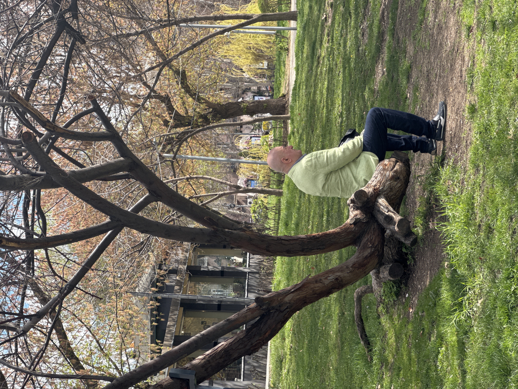 An image shows a man sitting on a tree stump in a park, likely in Yerevan, Armenia. The man is bald and wearing a light green jacket and dark jeans. He is sitting with his back to the camera, his legs extended out in front of him. The tree trunk he is sitting on has multiple branches extending out and up towards the sky and down to the ground. Beyond the tree is a building with glass windows, suggesting an urban setting. The surrounding area is covered in green grass and there are other trees in the background. The day is sunny and the lighting is bright.