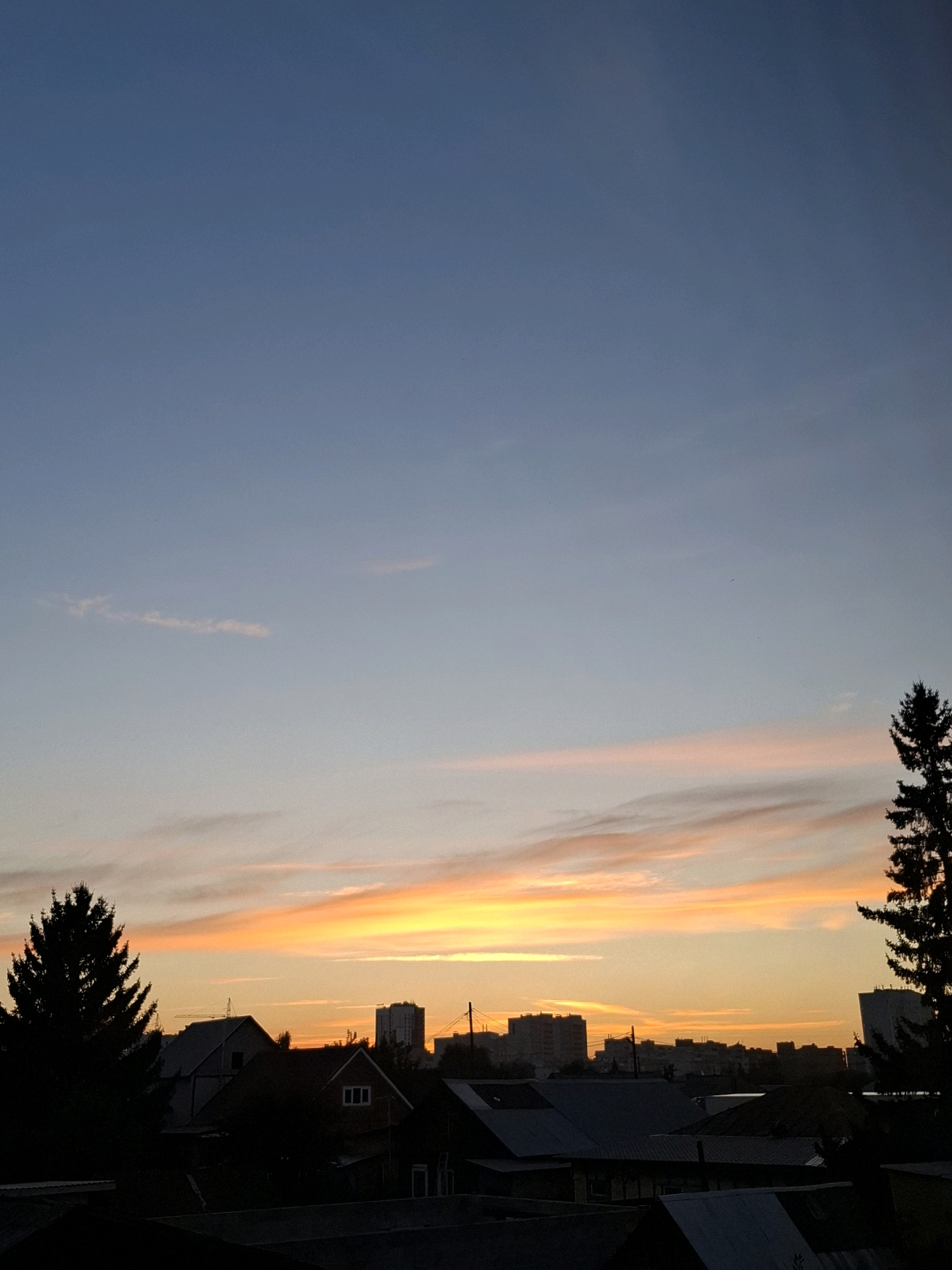 The image depicts a twilight sky over a residential area in Tyumen, Russia. The sky is a gradient of deep blue at the top, transitioning to soft pink and vibrant orange hues near the horizon, indicating sunset or sunrise. Scattered, wispy clouds are visible in the mid-sky.
In the foreground, silhouetted against the illuminated sky, is a collection of rooftops belonging to houses. Some of these appear to be single-family homes with varied roof structures, while further in the distance, the silhouettes of taller apartment buildings are discernible. A tall, dark green conifer tree stands prominently on the left side of the image, also in silhouette. On the right side, the top portion of another conifer tree is visible. Power lines crisscross the scene above the rooftops. The overall impression is a quiet, urban residential landscape under a colorful sky. There are no visible people or animals in the image.