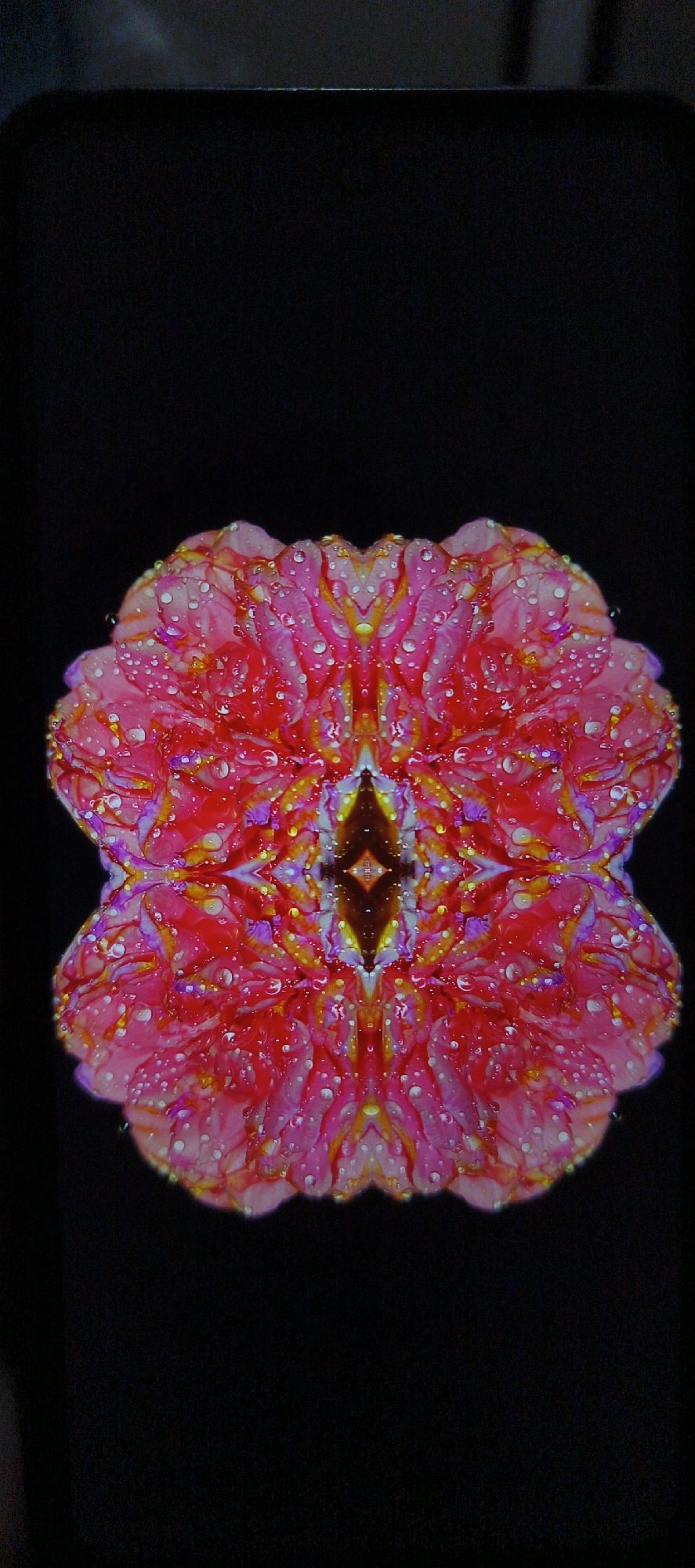 The image is a vertically oriented, symmetrical abstract pattern on a black background. The central element appears to be a flower, possibly a zinnia, mirrored to create a four-lobed shape. The flower is predominantly pink and red with highlights of yellow and purple. Water droplets are scattered across the surface. The exact species of flower, the means through which it was produced, and location of Bangkok, Thailand, cannot be determined from this image.