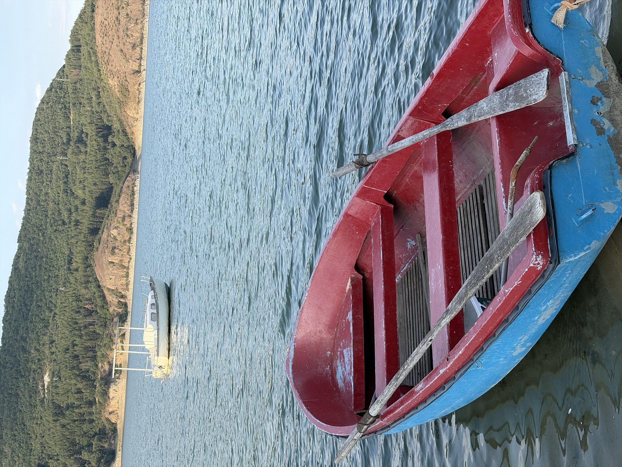 A red and blue boat rests on the water, its oars visible. In the distance, a white sailboat is anchored near a tree-covered hillside. The water is calm, with gentle ripples reflecting the sky. The hillside is lush with green trees, and the terrain appears to be a gentle slope leading down to the water's edge. The sky is a clear, pale blue, suggesting a pleasant day. The scene appears to be a peaceful, natural setting, likely a lake or reservoir. No people are visible in the image. The time of day appears to be daytime, possibly late afternoon given the lighting on the hillside. The location is Gniazdovo, Bulgaria.