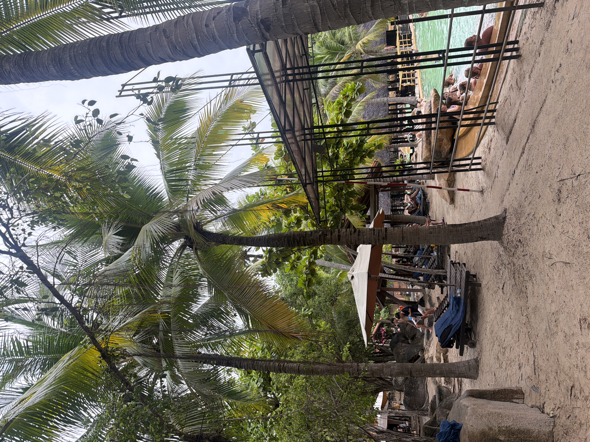 The image depicts a tropical resort area, likely in Nha Trang, Vietnam, characterized by lush palm trees, sandy ground, and a swimming pool. In the foreground, sandy pathways are lined with palm trees, and lounge chairs are scattered on the sand. Some of these chairs are occupied by people relaxing, and one chair in the mid-ground has a blue tarp draped over it.
To the right, a section of the swimming pool is visible, filled with green water. Several individuals are in the pool, some appearing to be at the edge of a water slide or a pool feature. A black metal railing encloses the pool area, with a brown, sculpted water slide leading into the water.
In the background, there are thatched-roof structures, suggesting cabanas or other resort amenities. Other people are seen lounging or walking around the resort. The overall atmosphere suggests a recreational environment, possibly a water park or a beach resort, given the presence of the pool and the tropical vegetation. The lighting indicates it is daytime, with an overcast sky.
