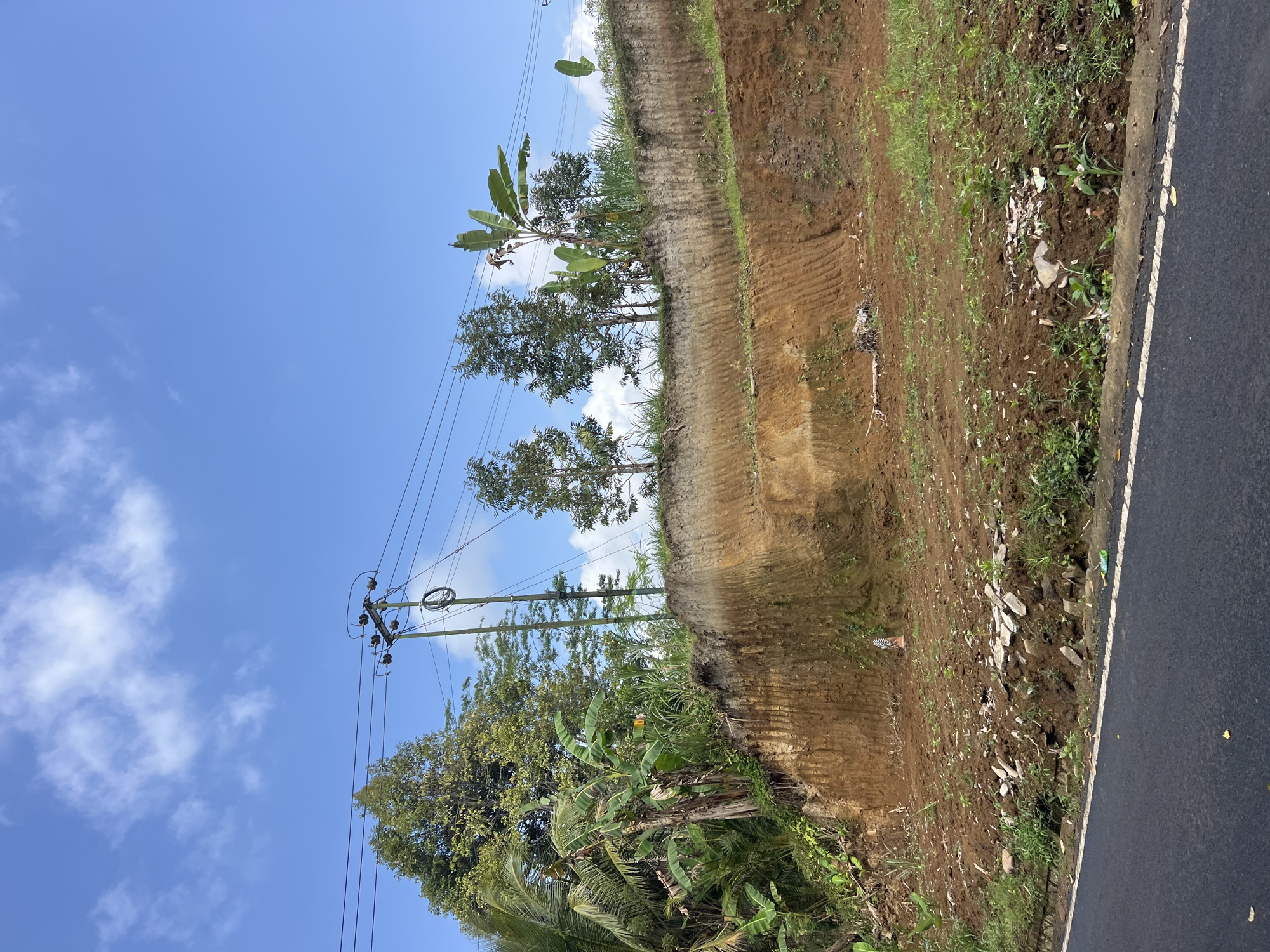 A sunny daytime image shows a roadside embankment in Tembuku, Indonesia, with a bright blue sky dotted with white clouds. The embankment, which appears to have been cut into a hillside, reveals layered soil in shades of brown and orange, with distinct horizontal striations from recent excavation. Vegetation, including banana trees and other leafy plants, grows along the top and sides of the embankment. Utility poles with electrical wires traverse the upper portion of the scene. The roadside in the foreground is paved asphalt, marked with a white line, and shows some scattered debris and green grass growing at the edge. The overall scene depicts a rural or semi-rural landscape with evidence of construction or land modification.