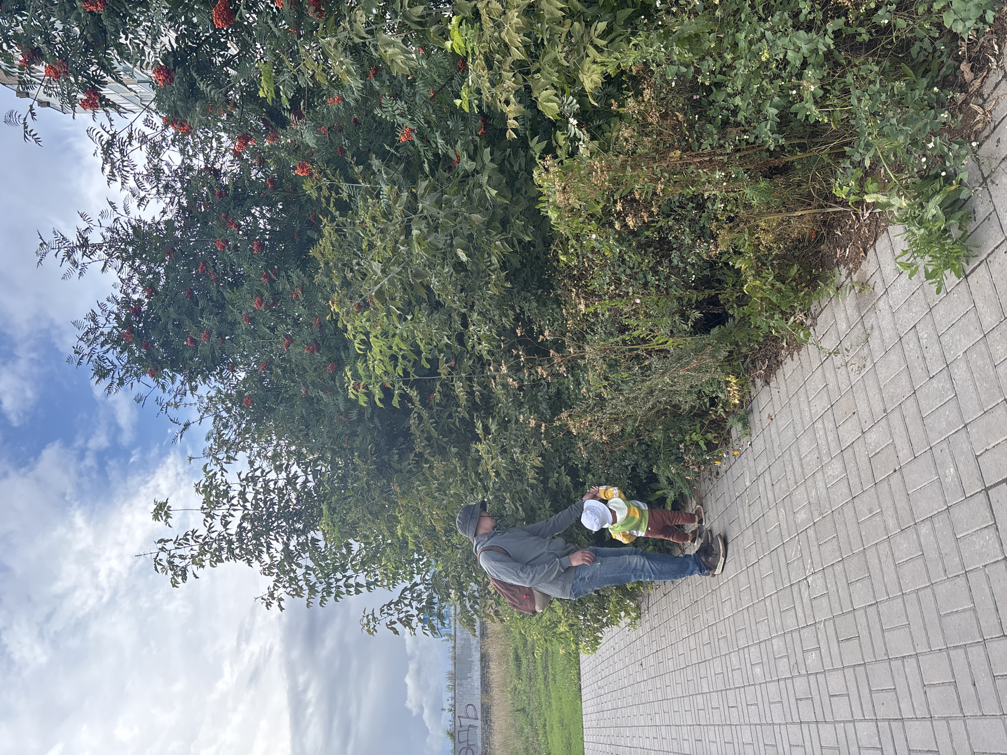 A man wearing a grey hoodie, blue jeans, dark shoes, and a dark bucket hat stands on a paved walkway next to a child wearing a white hat, yellow and green shirt, and brown pants. The man is leaning down and touching the child's shoulder as they both look into a dense green bush with red berries. The bush is large and extends to the right of the frame. Behind the bush, a tall building with windows is visible. The sky is cloudy with patches of blue. The scene appears to be in a park or residential area in Naberezhnye Chelny, Russia, given the presence of the building, paved walkway, and vegetation.