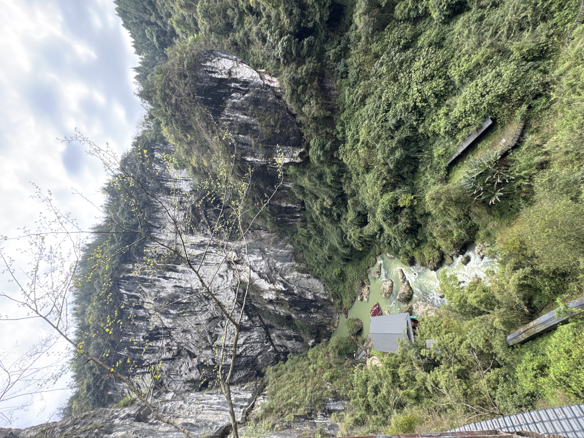 This landscape image shows a view of the Tiankeng scenic area in Zhuoshui Town, Qianjiang District, Chongqing, China. The composition features a vertical orientation.
The scene includes a river flowing below, with rafts visible on the water. A small building with a gray roof is positioned near the riverbank. The water color is a distinct, light green.
Dense green foliage covers the surrounding hills and cliffs, with a rugged rock face prominently displayed on the left side of the frame. A tree with bare branches is visible in the foreground, adding a natural element to the composition.
The sky is overcast. The image suggests a mountainous terrain with lush vegetation and river features, typical of the scenic areas in this region of China.