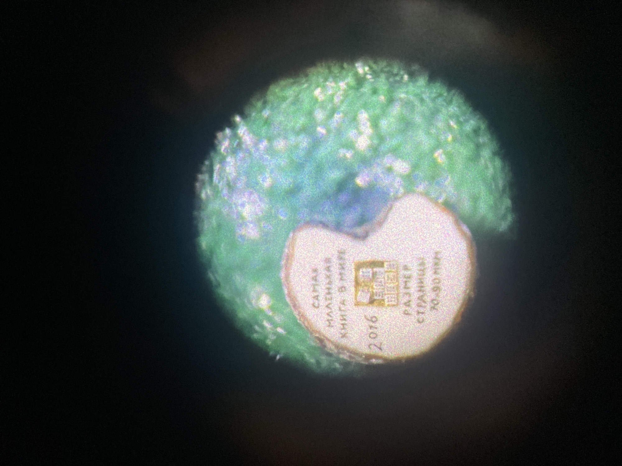 The image presents a highly magnified, circular view, characteristic of observation through a microscope or a powerful macro lens. The primary subject is a small, light-beige, roughly oval-shaped plaque or disc, positioned centrally. This plaque appears to be partially resting on or embedded within a vibrant, textured, bright green surface that exhibits a granular, almost sparkling quality with iridescent highlights. The surrounding area is uniformly dark black.
The plaque contains visible text in Cyrillic script and numerals. Prominently displayed is "САМАЯ МАЛЕНЬКАЯ КНИГА В МИРЕ", which translates to "THE SMALLEST BOOK IN THE WORLD". Below this, the year "2016" is visible. To the right, there is a small, blurry, golden-colored emblem or logo, too indistinct to fully decipher. Further text reads "РАЗМЕР СТРАНИЦЫ" (PAGE SIZE) followed by "70-90 MM".
The scene suggests the display or examination of a miniature artifact, likely a commemorative item or a descriptive label for a record-breaking miniature book. The mention of "70-90 MM" for "PAGE SIZE" is intriguing for an object described as "the smallest book in the world," possibly indicating a typo for micrometers (µm) given the visual scale suggested by the magnification, or referring to a larger, typical version of the book's pages, with the *plaque itself* being small. The granular textures on both the green base and the beige plaque are notable details, enhanced by the close-up perspective.
