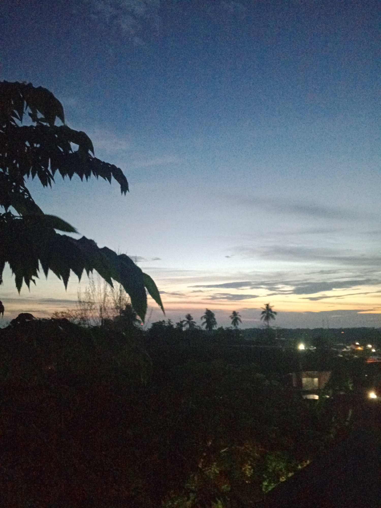 The image presents a view at dusk or dawn over the city of Lhokseumawe, Indonesia. The sky is a gradient of blue to orange near the horizon, suggesting either sunrise or sunset. Several palm trees are silhouetted against the skyline in the distance. There are scattered lights from buildings and possibly streetlights within the city. The foreground is dominated by dark foliage, presumably a tree or dense vegetation. The leaves of a tree are silhouetted on the left of the image. The image is somewhat dark and grainy, which obscures finer details of the environment. There are no people visible in the scene. The location is identified as Lhokseumawe, Indonesia based on the user's prompt.