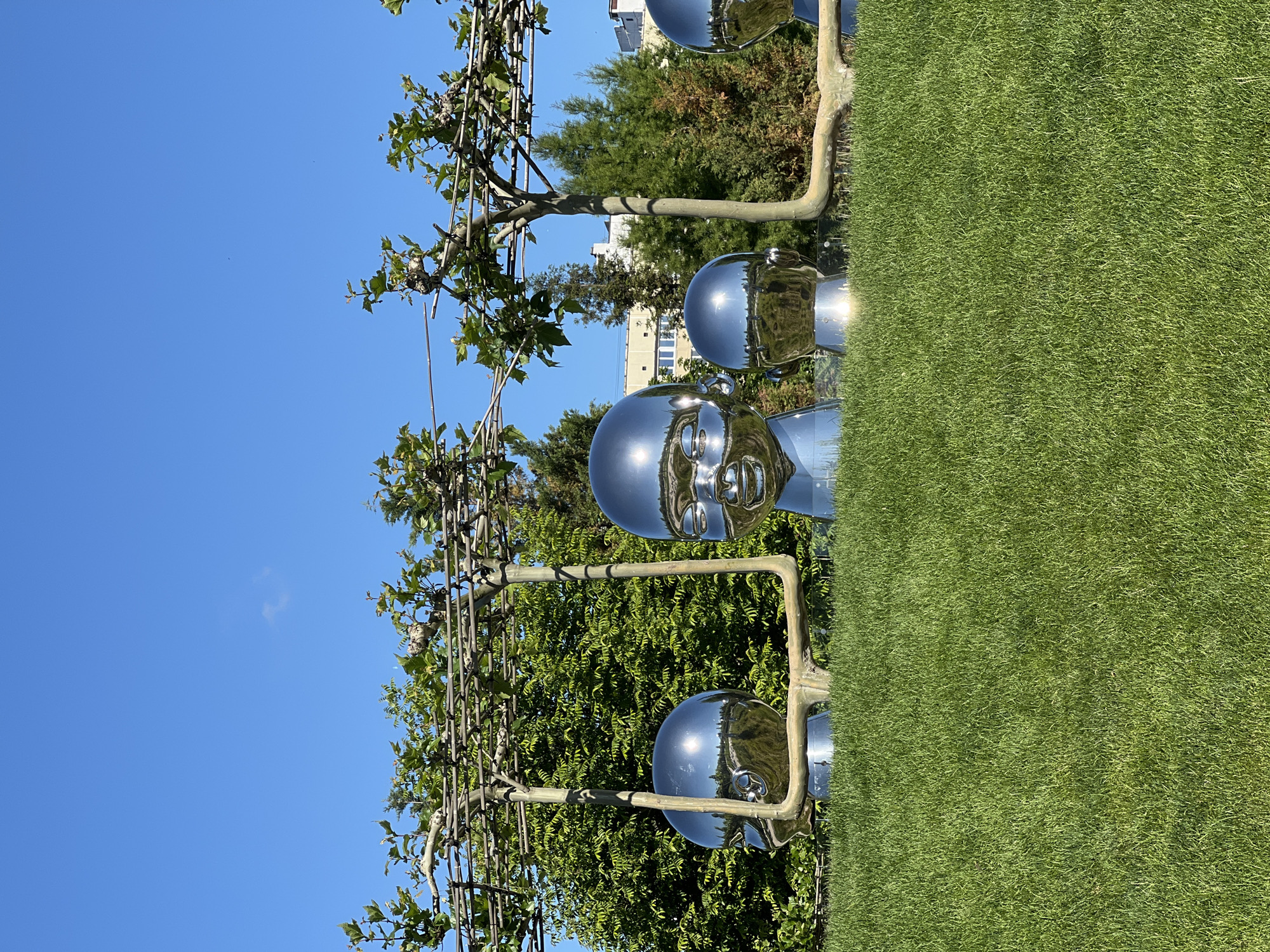 An outdoor scene, set in Krasnodar, Russia, features a clear blue sky above a landscaped garden or park. The foreground is dominated by a neatly manicured green lawn, contrasting with the vibrant sky.
The central subjects are three highly reflective, chrome-plated sculptures of human heads, appearing to be infants or young children. These sculptures are positioned on the grass, facing forward. Their polished surfaces mirror the surrounding environment, showing reflections of the sky, trees, and grass, along with bright sun glints. Each sculpture exhibits a serene, slightly smiling expression.
Behind the sculptures and lawn, a row of trellised trees with green foliage is visible. Their branches are trained along a structured framework, suggesting espaliered planting. Further back, dense green bushes and taller trees create a natural background, with glimpses of modern buildings in the distance.
The image captures a bright, sunny day under a cloudless sky, indicative of mid-day lighting. There is no specific activity or event taking place; the scene is a static depiction of an art installation within a park. No visible text is present in the image.