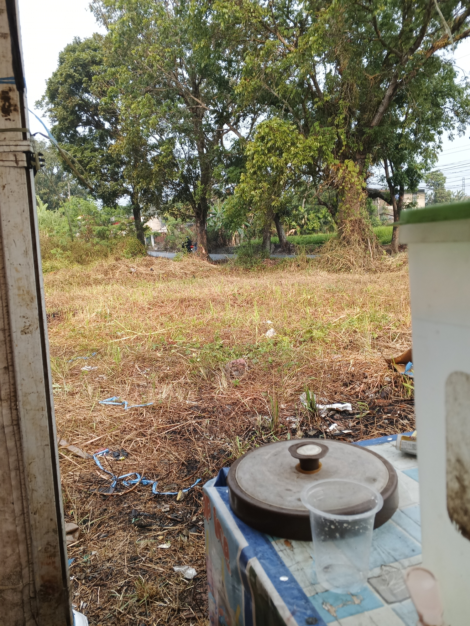 This image depicts an outdoor scene in Sukabumi, Indonesia, likely a residential area or a lot bordering one. In the foreground, a white and brown plastic appliance with a circular lid is placed on a table covered with a blue and white checkered cloth. Next to it sits a clear plastic cup, partially filled with a light-colored liquid. The background is dominated by dry, yellowish-brown grass and scattered debris, suggesting an unkempt or undeveloped area. Several large trees with green foliage are visible, and further back, a paved road can be seen, with a person and a motorcycle in the distance. The overall impression is one of a rural or semi-rural environment, possibly during a dry season, with signs of human activity and the presence of electrical wires overhead.