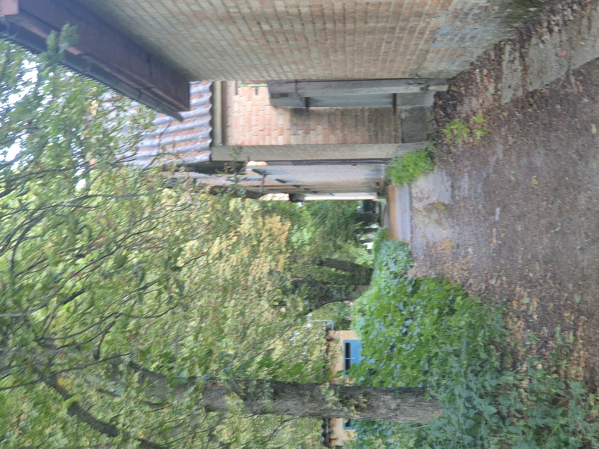 The image depicts a narrow, unpaved path leading between two buildings and flanked by dense green foliage. On the left, a large tree with rough bark stands beside a low-lying building with a yellow facade and a bright blue window. The path is covered with dirt and fallen leaves. To the right, a brick building with a sloping roof made of corrugated material runs along the path. The brickwork is a warm, reddish-brown hue. Further down the path, the brick building continues, featuring a rustic wooden door or gate set into a recessed area. The scene is illuminated by natural light, suggesting it is daytime. The overall impression is one of a rural or semi-rural setting, possibly in Sozonivka, Ukraine, with elements of nature encroaching on man-made structures.