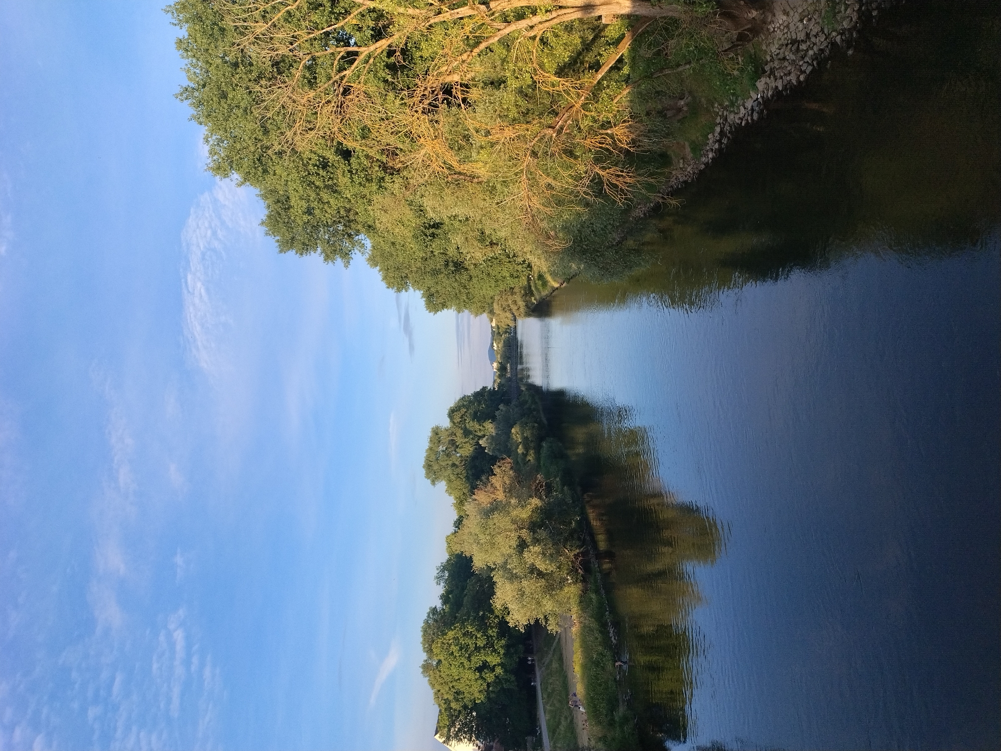 A wide-angle, high-angle shot captures a serene view of the Danube River in Regensburg, Germany, during daylight. The river, a dark blue expanse, flows from the background towards the foreground, reflecting the surrounding trees and the sky. Lush green trees line both banks of the river, their foliage dense and verdant. On the left bank, a grassy slope is visible with several people scattered, some sitting and others walking along a path. A building with a white facade is partially visible behind the trees on the left. The right bank is characterized by a rocky shoreline interspersed with more trees, some of which appear to be older and more bare, their branches reaching out. The sky above is a clear blue, with scattered wisps of white clouds. The overall impression is one of tranquility and natural beauty within an urban setting.