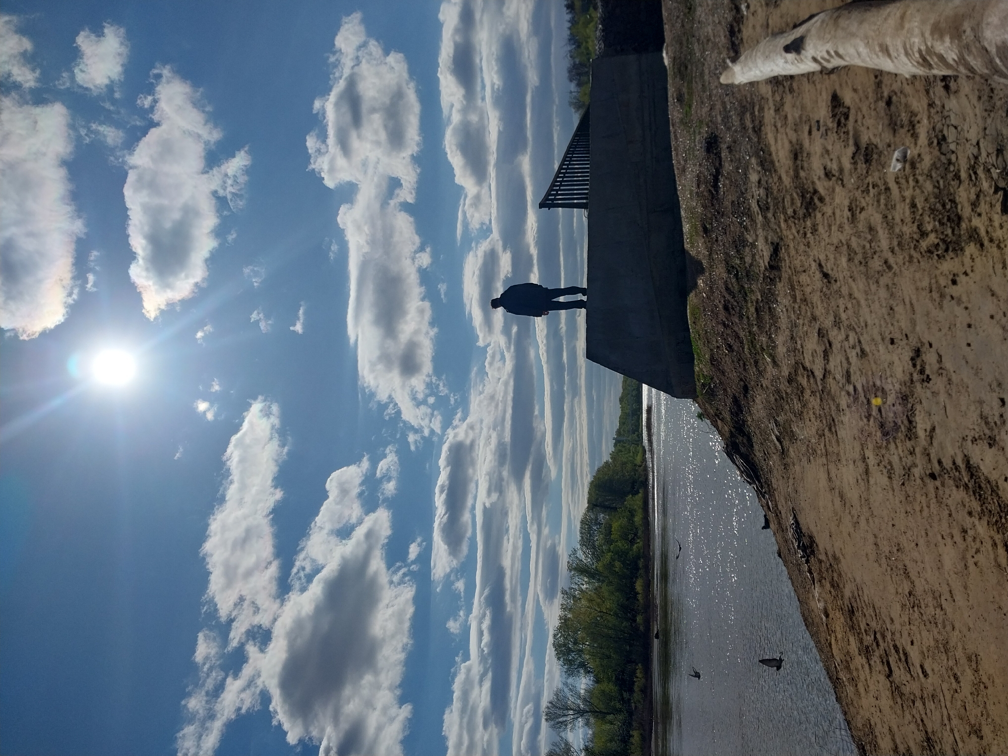 The photograph captures a bright, sunny daytime scene by a river in Orenburg, Russia. The expansive sky, a clear blue, is filled with distinctive elongated cumulus clouds, stretching horizontally across the upper and mid-sections of the frame. A brilliant sun, located in the upper left, creates a strong lens flare and illuminates the edges of the clouds, suggesting either morning or late afternoon.
In the mid-ground, a lone figure stands in silhouette on a dark, concrete structure or embankment, facing towards the river. The structure also features a dark railing. The river occupies the lower portion of the image, its surface shimmering with countless reflections from the sun. On the opposite bank, a line of green trees extends into the distance. The immediate foreground on the right consists of a textured, earthy riverbank, appearing somewhat eroded. A large, light-colored piece of driftwood or a fallen branch rests prominently on this bank. Several dark shapes, possibly birds, are visible on the river's surface. No discernable text is present in the image.