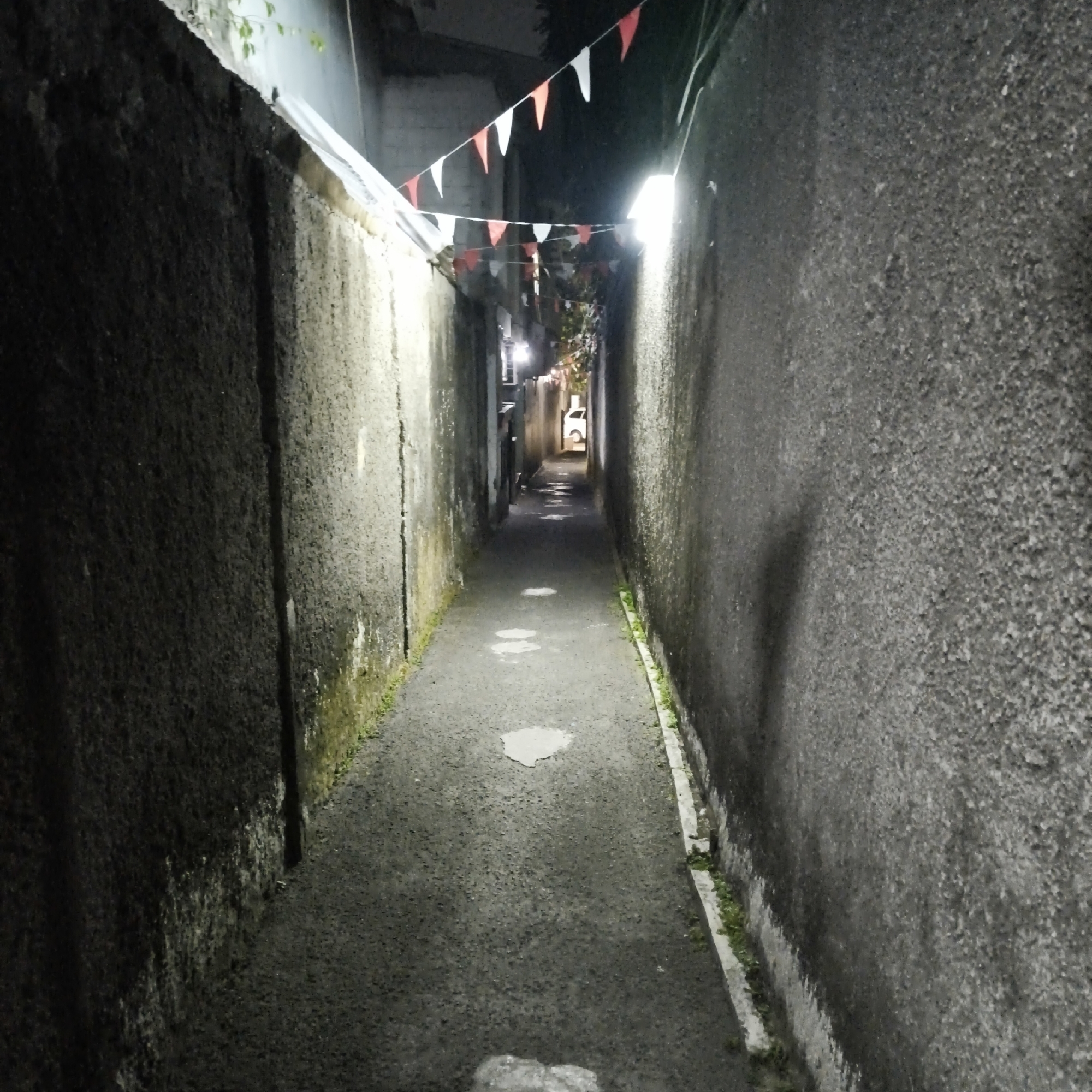 The image depicts a narrow alleyway in South Jakarta, Indonesia, at night. The alley is lined with rough, textured concrete walls on both sides. A paved pathway runs down the center of the alley, with some damp patches visible on its surface. Overhead, strings of red and white pennant flags are stretched across the alley. In the distance, the alley opens up slightly, revealing buildings and a bright light source, possibly a street lamp. A white vehicle is partially visible in the background. The overall impression is one of a dimly lit, somewhat secluded urban space.