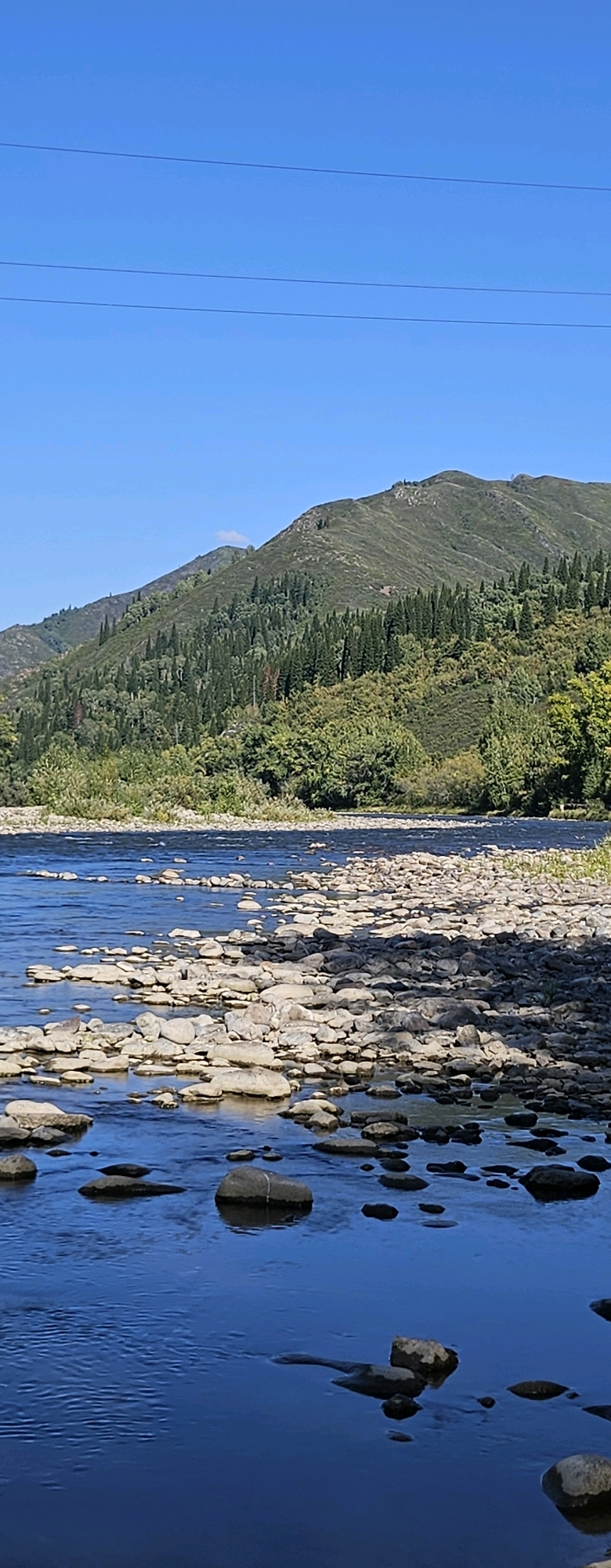The image shows a serene natural landscape with a wide, clear blue sky dominating the upper portion. Several thin, dark power lines are stretched horizontally across the sky. Below the sky, a densely forested green mountain rises, its slopes covered in a mix of evergreen trees and lighter green foliage. The mountain is characterized by rolling hills and a somewhat rugged terrain.
The lower part of the image features a wide, shallow river with crystal-clear blue water. The riverbed is a prominent feature, composed of numerous smooth, grey and beige stones of various sizes, many of which are partially submerged in the water. The stones create a textured and intricate pattern along the banks and in the shallower sections of the river. The water reflects the blue of the sky and the surrounding greenery, creating a tranquil and inviting scene. The overall impression is one of untouched natural beauty. This scene is located in the Tarkhanka rural district of Kazakhstan.
