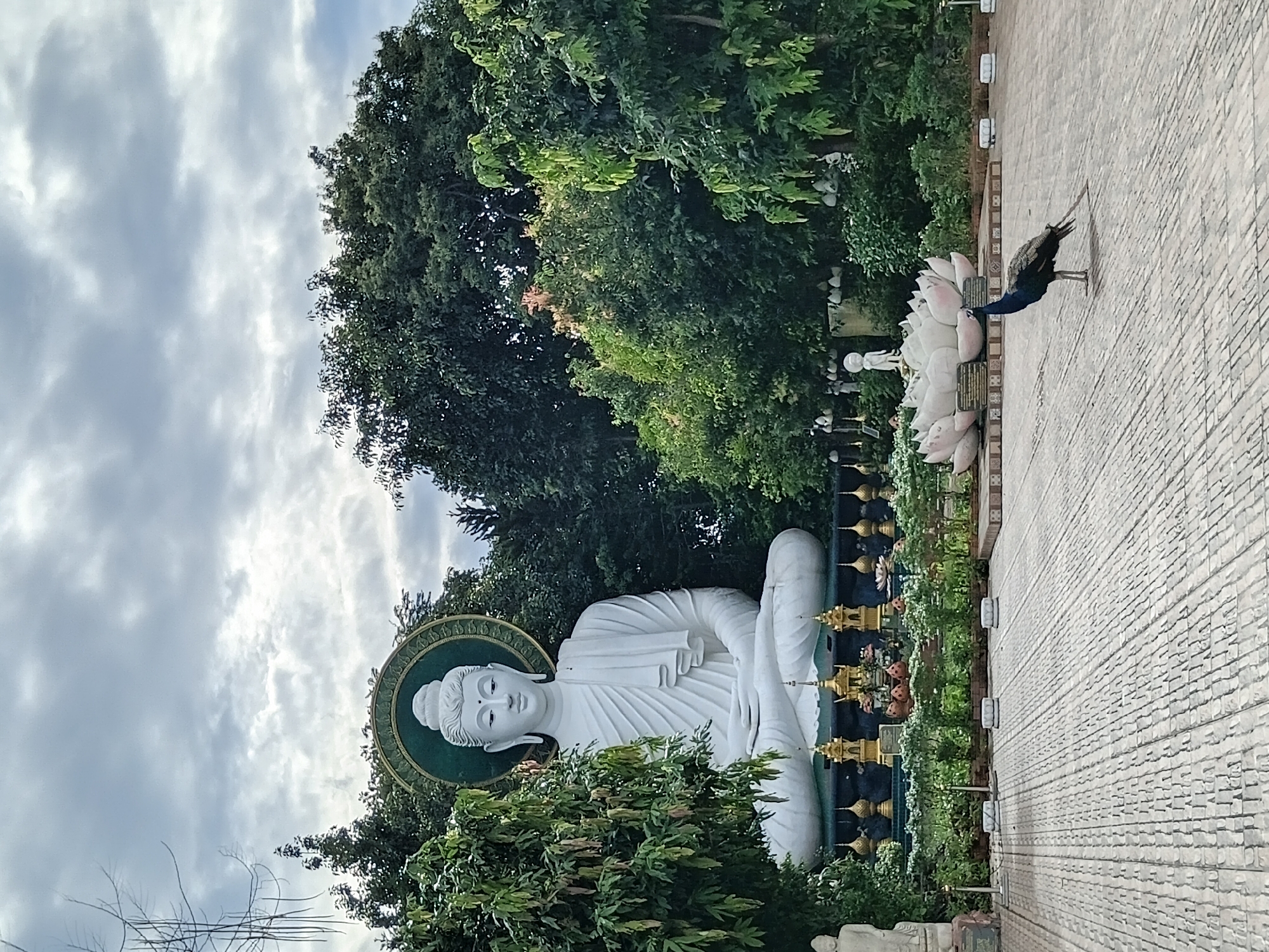 In Ban Ruammit, Thailand, a serene outdoor scene unfolds. The focal point is a large, white statue of Buddha, seated in meditation with hands resting in its lap. The statue is framed by a green halo and surrounded by lush green trees. In the foreground, a peacock stands on a textured, grey paved surface. Behind the peacock, a large, white lotus flower sculpture is visible, and further back, a series of golden stupas are arranged. The sky above is overcast with grey clouds.