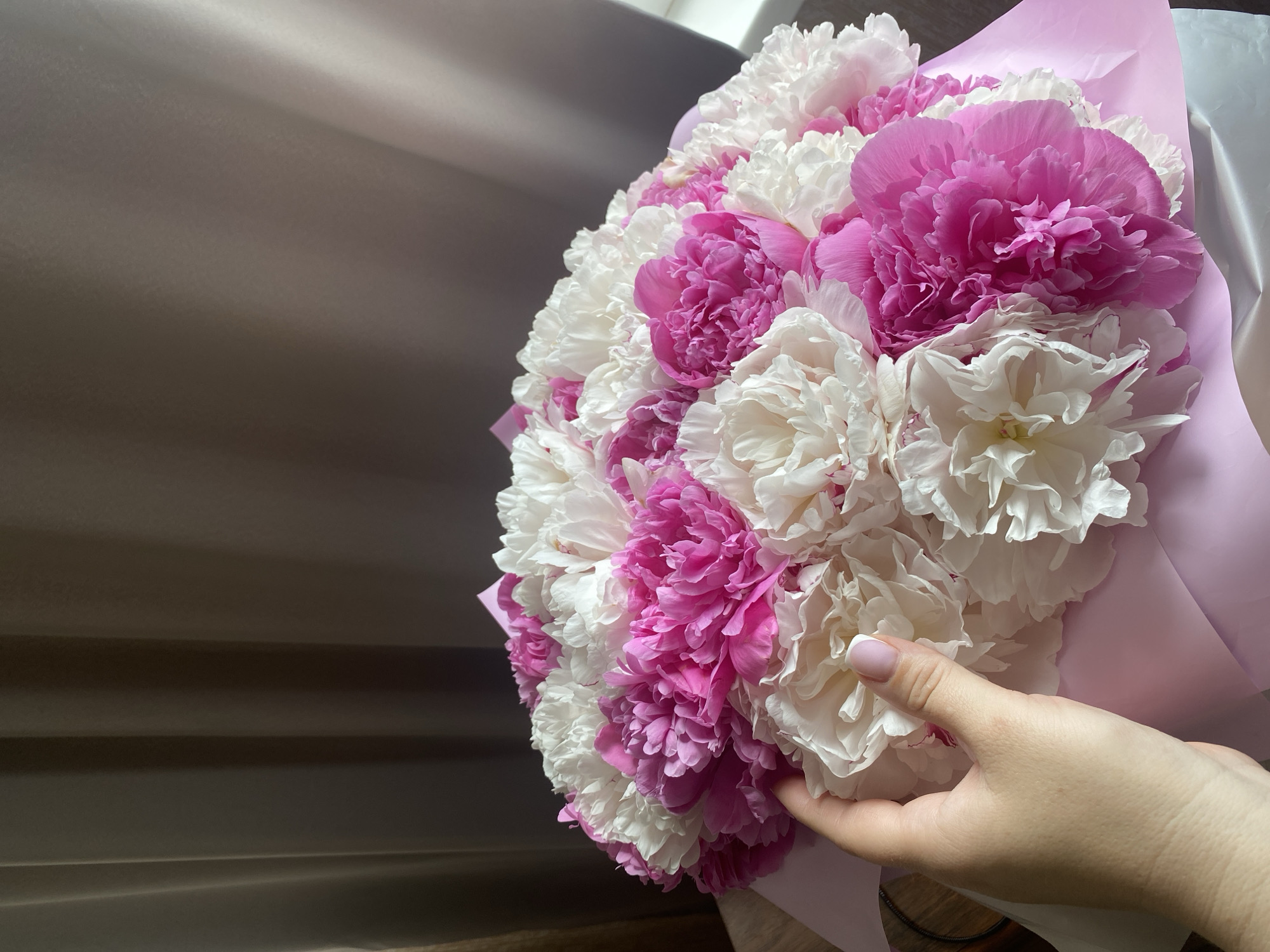 A close-up shot depicts a bouquet of white and pink peonies held by a light-skinned hand with manicured nails. The flowers are densely packed, filling the frame. The bouquet is wrapped in pink paper. The background is a blurry gray, possibly a curtain or wall. There is no indication of the location being Sochi, Russia from the image.