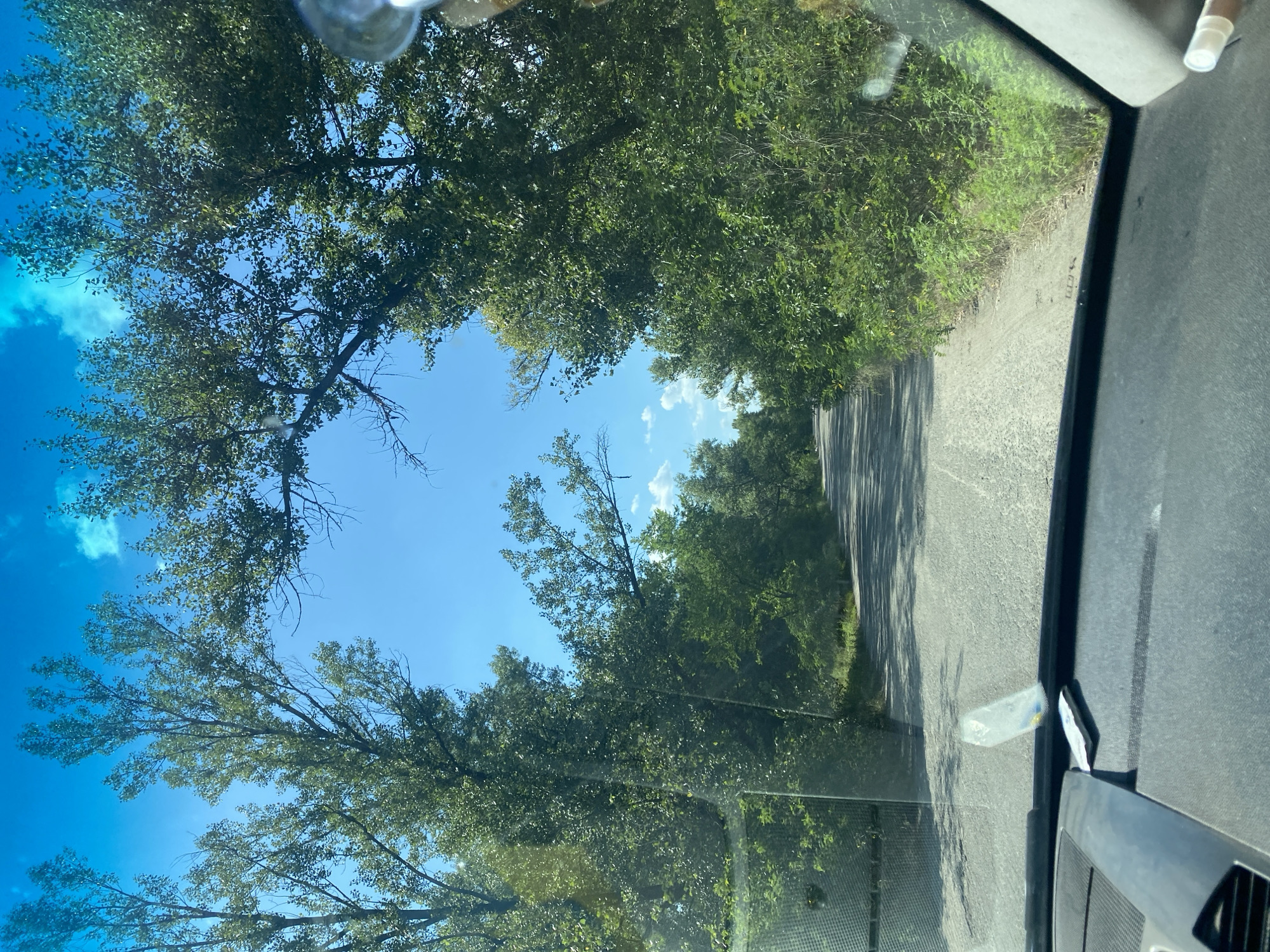 The image shows a view from inside a vehicle looking out through the windshield. A narrow, unpaved road curves through a dense forest on a sunny day. Tall green trees with full foliage line both sides of the road, forming a canopy that partially obstructs the bright blue sky with scattered white clouds. The dashboard of the car is visible in the foreground. The scene appears to be a rural or natural setting, possibly on the outskirts of a city, given the context of Dnipro, Ukraine.