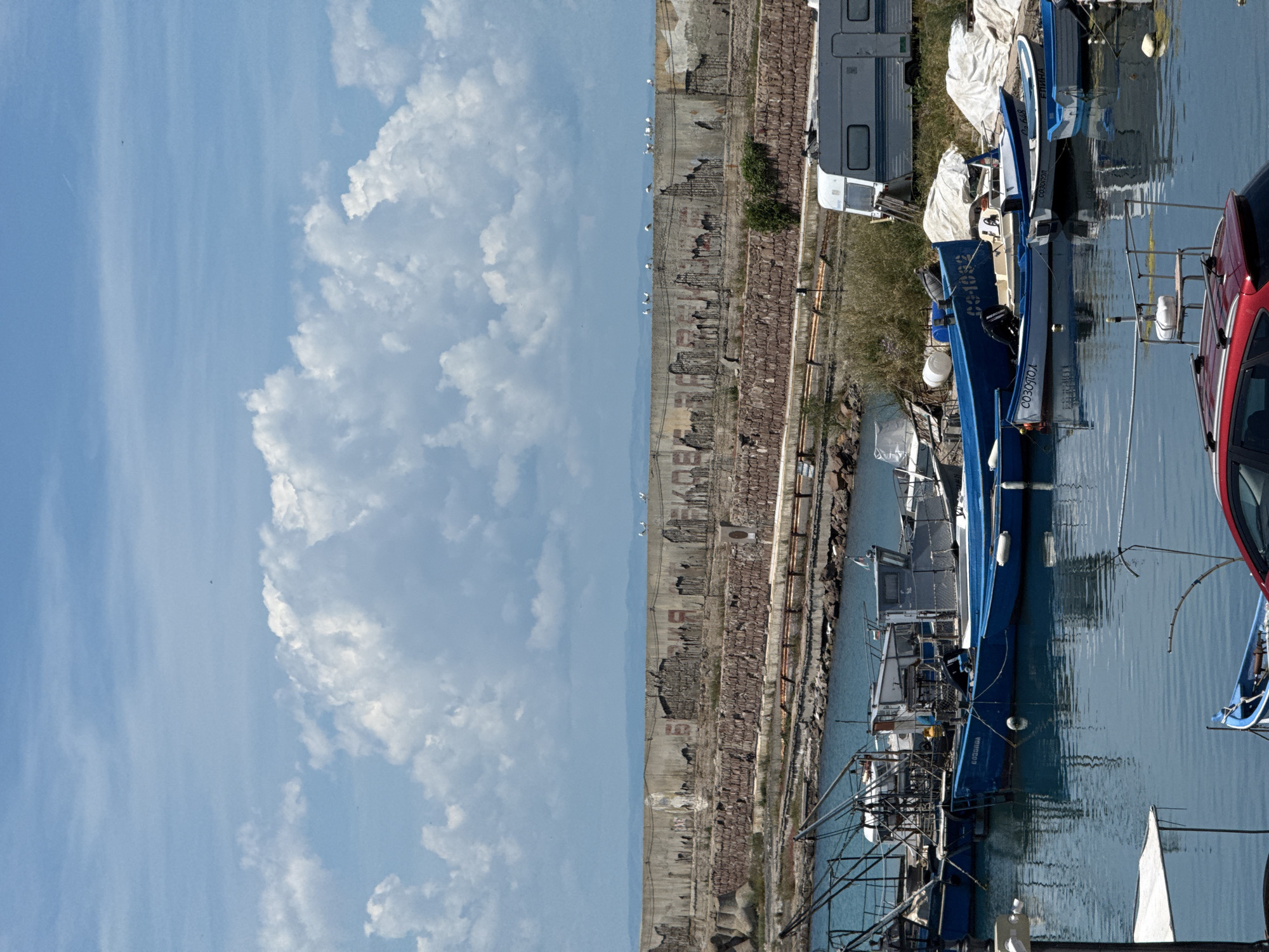 The image depicts a harbor scene in Sozopol, Bulgaria, under a bright, partly cloudy sky. In the foreground, several small boats are docked in calm, blue water. Some of these boats are painted blue, while others are white with blue trim. One of the blue boats has the name "СОЗОПОЛ" (Sozopol) clearly visible on its side. Another boat has "ЕЛИHA" written on it. Further into the water, larger fishing vessels with cranes and masts are present.
In the middle ground, a concrete breakwater or sea wall runs horizontally across the image. This structure appears weathered and has graffiti scrawled across its surface. Numerous seagulls are perched on top of this wall. Behind the breakwater, a white camper van is parked on a grassy area. The background shows a distant, hazy coastline. The overall impression is of a functional, working harbor on a sunny day.
