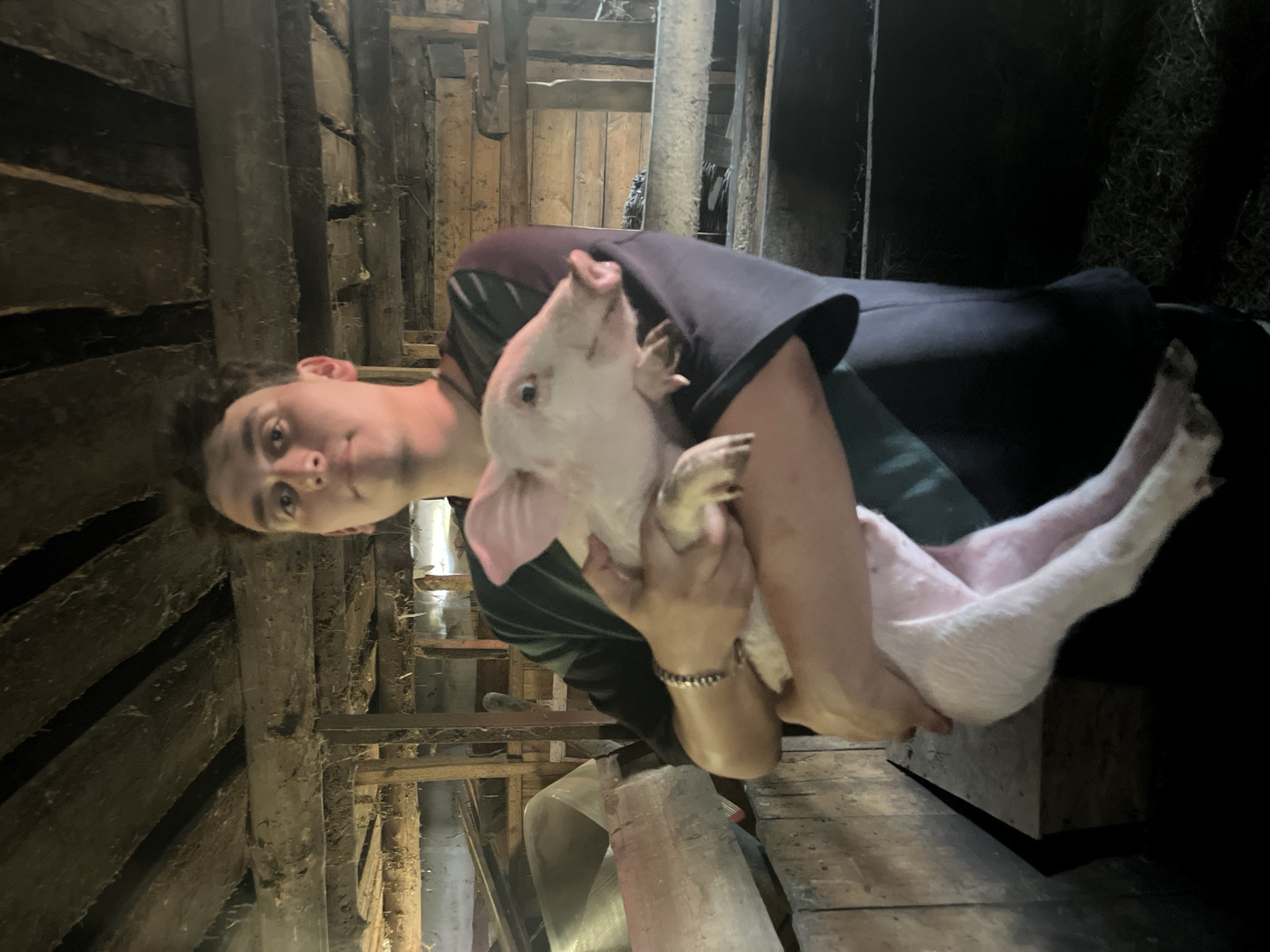 A young man holds a small, light-pink piglet in what appears to be an old barn or wooden structure. The man is fair-skinned with dark hair and is wearing a dark t-shirt. He looks towards the camera. The piglet is facing upwards, with its head tilted back. The background consists of weathered wooden beams and planks. The location is not possible to verify.