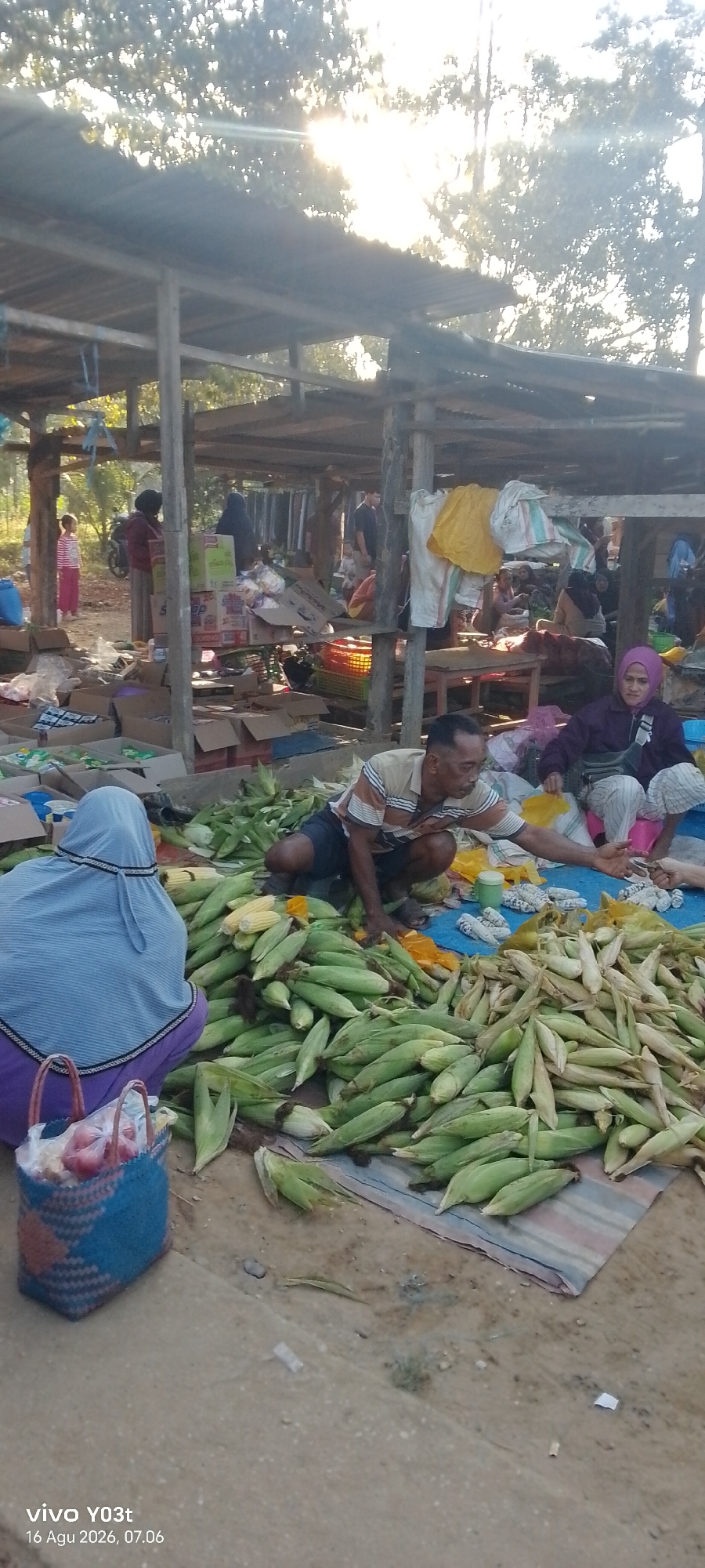 This image depicts an outdoor market scene in Palosilae, Indonesia. The market appears to be set up under a simple wooden structure with a corrugated metal roof, providing partial shade from the bright sun. In the foreground, a large quantity of freshly harvested corn is displayed on the ground, spread out on a striped mat and a blue tarp.
Several individuals are present. In the center, a man wearing a striped shirt and dark shorts is crouched down, seemingly engaged in selling or sorting the corn. He is reaching out with his right hand, possibly to a customer or to arrange the produce. To his right, a woman wearing a purple headscarf and patterned trousers is seated, also appearing to be part of the market activity. Further back, another woman in a light blue headscarf and purple clothing is seated, facing away from the camera, with a woven bag containing some items at her side.
In the background, more market stalls and structures are visible, with various goods, including boxes of packaged items, fabrics, and other produce, arranged for sale. Several other people are scattered throughout the market, some standing and others seated, indicating a bustling commercial environment. A motorcycle is parked behind some of the stalls on the left. The overall setting suggests a typical local market in a rural or semi-urban area of Indonesia, characterized by its informal setup and abundant fresh produce.