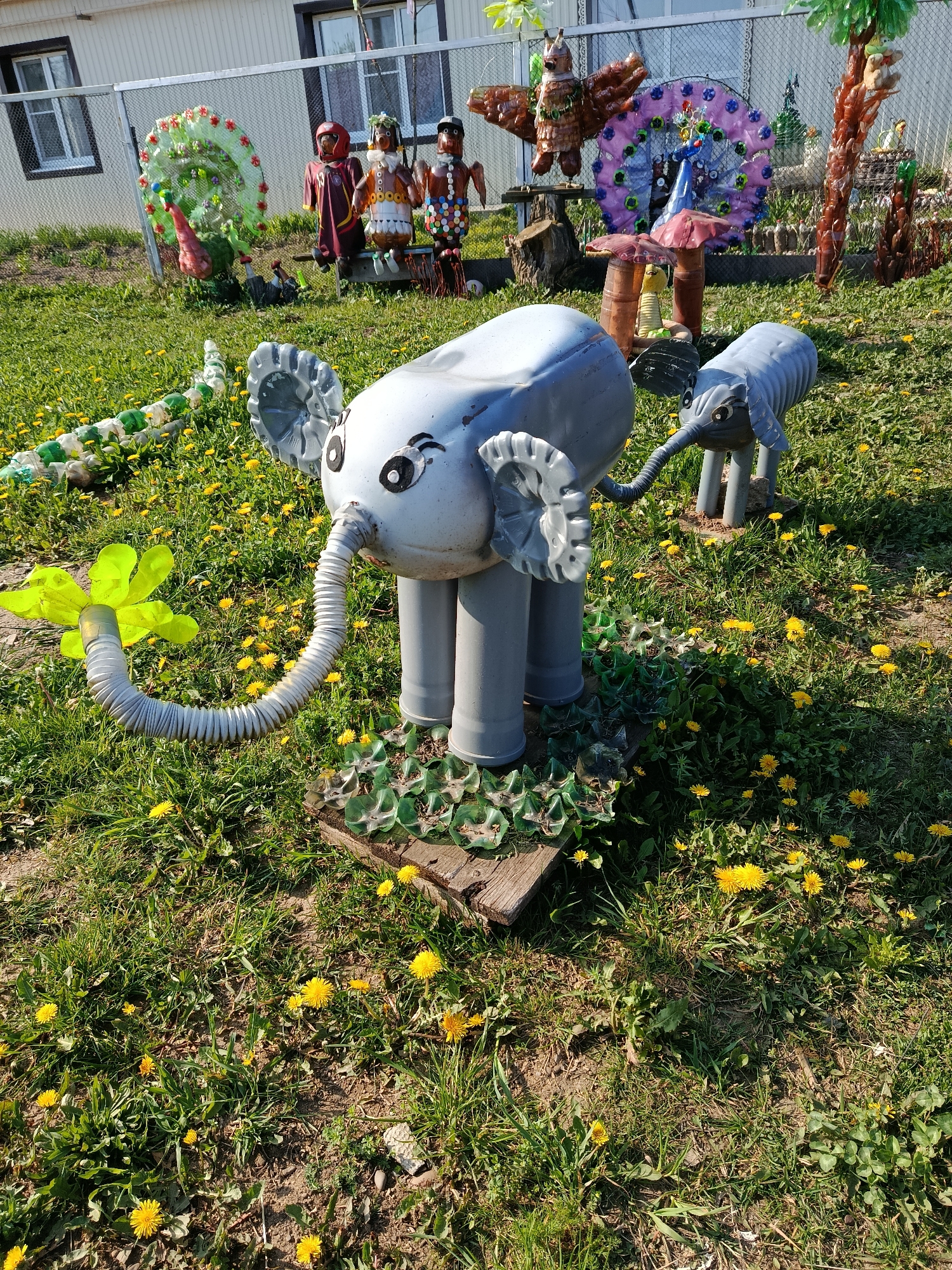 The image shows a yard in Фоки, Russia, filled with sculptures made from recycled materials. In the foreground are two grey elephant sculptures. The larger elephant stands on a wooden base covered with green plastic bottle pieces. It has a corrugated trunk with a green plastic flower at the end, and its ears are made from bottle bottoms. The smaller elephant stands behind it. The yard is covered in grass and dandelions. In the background, there are several other sculptures made from plastic bottles and other recycled materials, including figures that appear to be people, a peacock, and trees. A building with a white exterior and multiple windows is visible behind the sculptures.