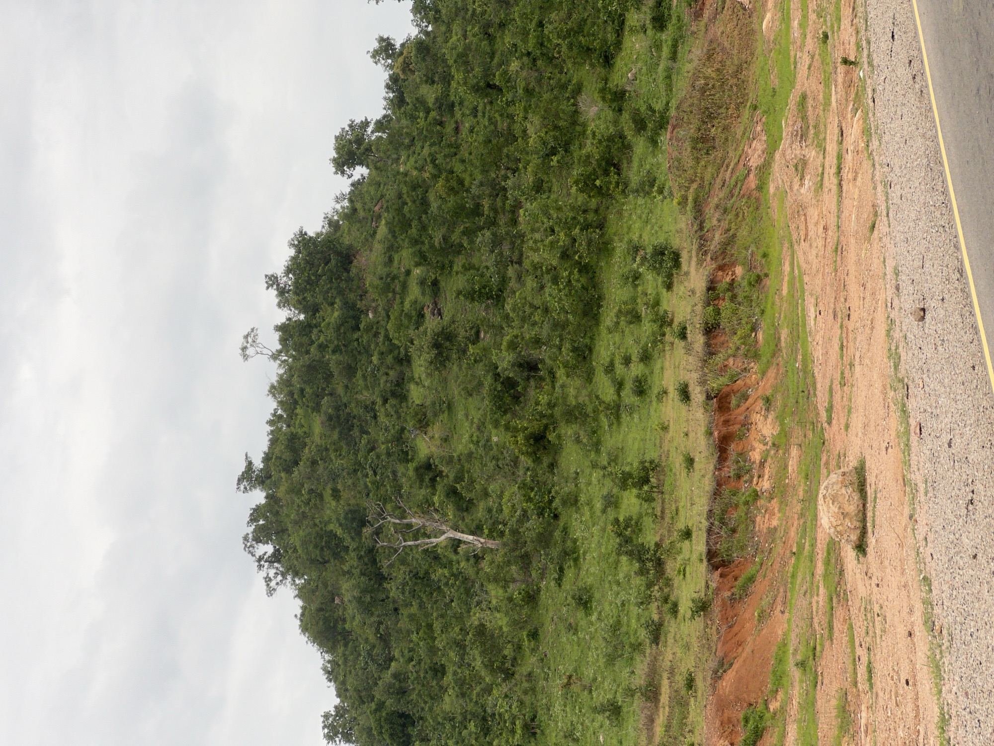 The image depicts a scenic hillside with lush green vegetation and a cloudy sky. The foreground features a dirt road with a yellow line, leading towards the right side of the frame. A large, light-colored rock sits in the middle of the dirt area. The hillside is covered with dense trees and shrubs, with a prominent dead tree standing out in the middle ground. The terrain appears to be a rural or natural landscape. The location is identified as Minda, Nigeria.
