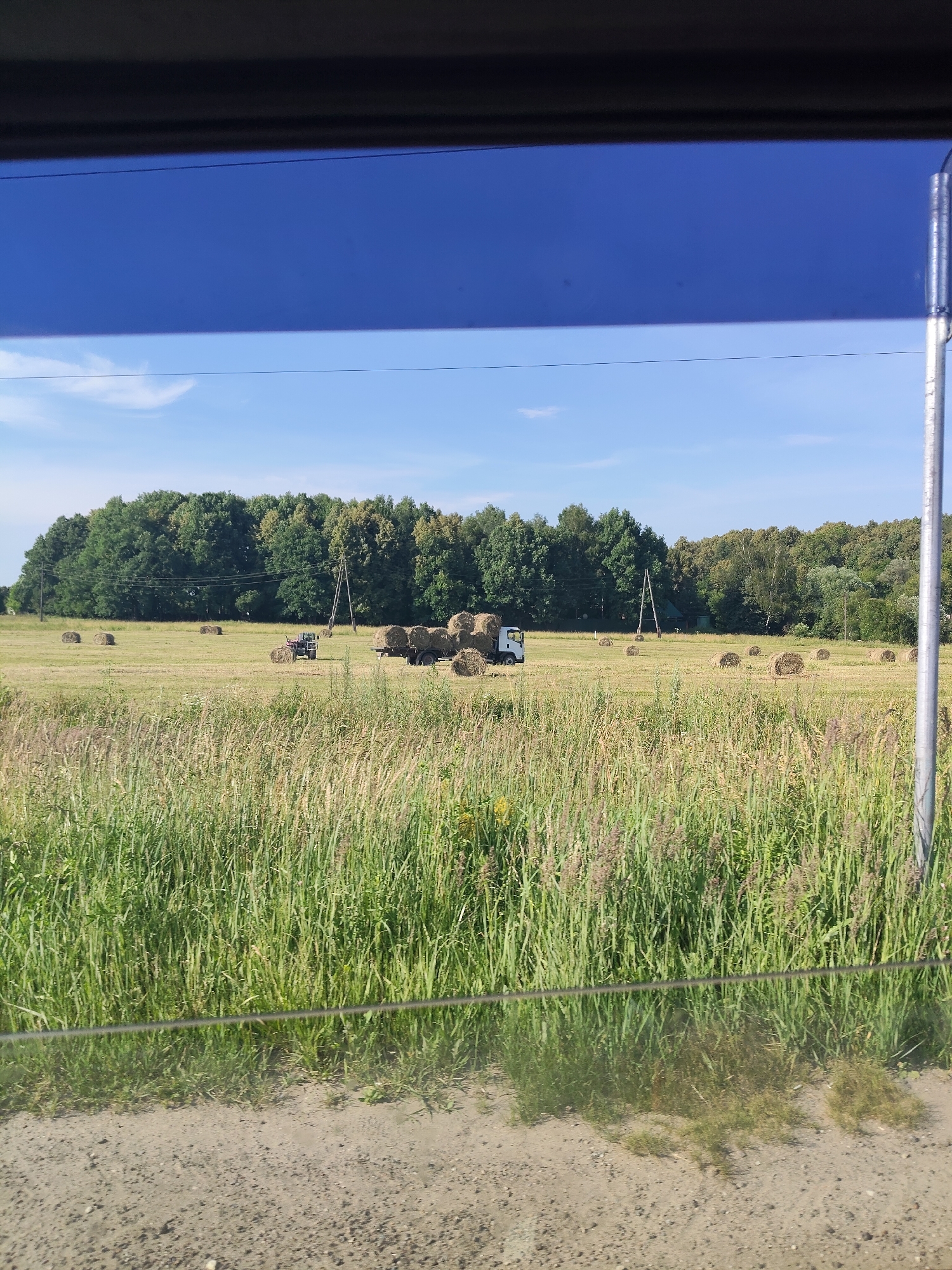 This is a photograph taken from inside a vehicle, looking out at a rural landscape. The foreground is dominated by a dense field of tall green grass and some dirt. A thin wire runs horizontally across the image, slightly above the center. In the middle ground, a mown field is dotted with numerous round hay bales. A small tractor and a trailer loaded with hay bales are visible in the field. Further in the background, a line of dense green trees forms the horizon, with a few utility poles interspersed. The sky above is a clear blue with some wispy white clouds. The scene is consistent with agricultural activity, likely the harvesting and baling of hay. The location is identified as Vas'kino, Russia.