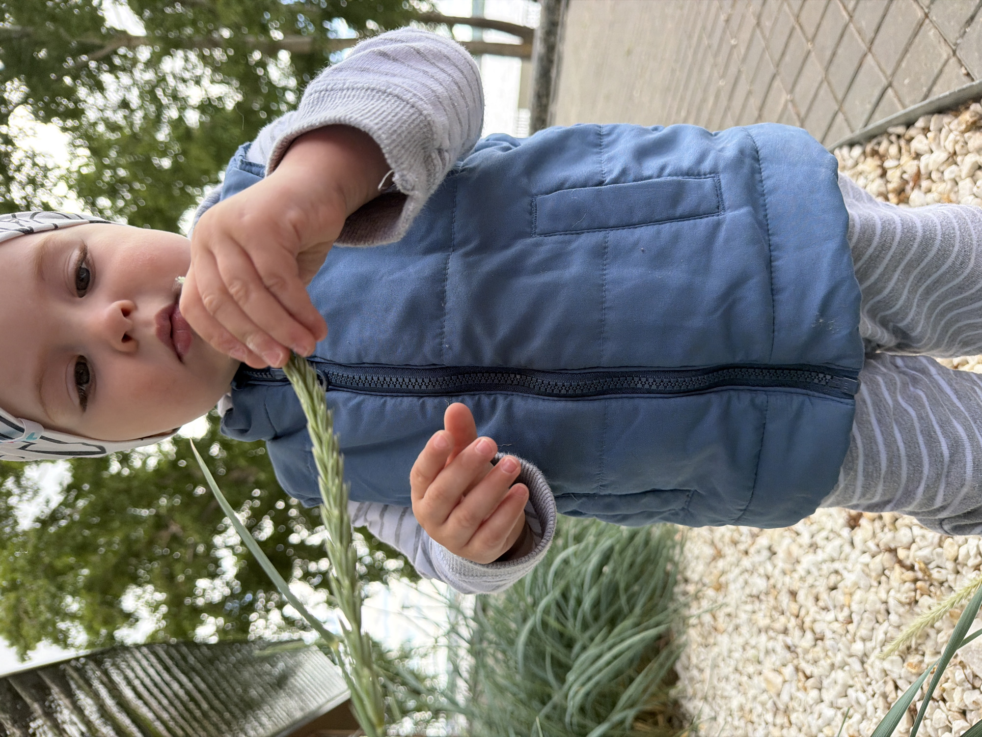 A close-up, eye-level, outdoor shot shows a toddler wearing a blue puffer vest over a striped long-sleeved shirt and gray striped pants. The toddler is wearing a patterned beanie and is holding a green stalk of grass, examining it with their hands. The background is blurred, showing green foliage, trees, and a body of water, suggesting a park or waterfront area, potentially in Votkinsk, Russia. The ground in the foreground is covered with small white and beige pebbles, with some paving stones visible to the right. The lighting is natural, indicating daytime.